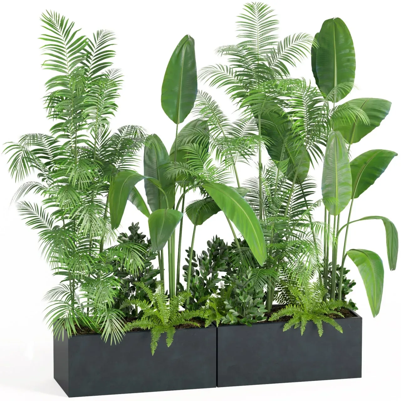 indoor plant set004