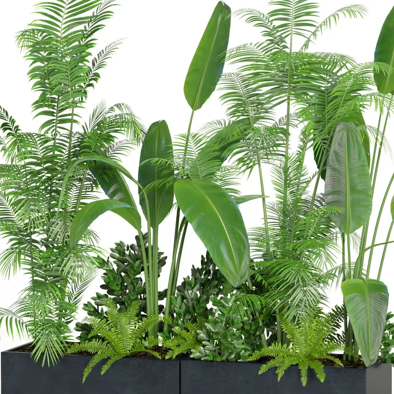 indoor plant set004