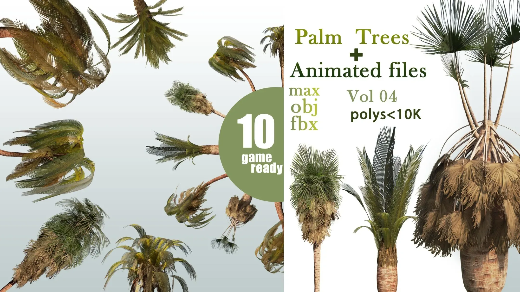 10 Palm Trees VOL 04+ Animated Files