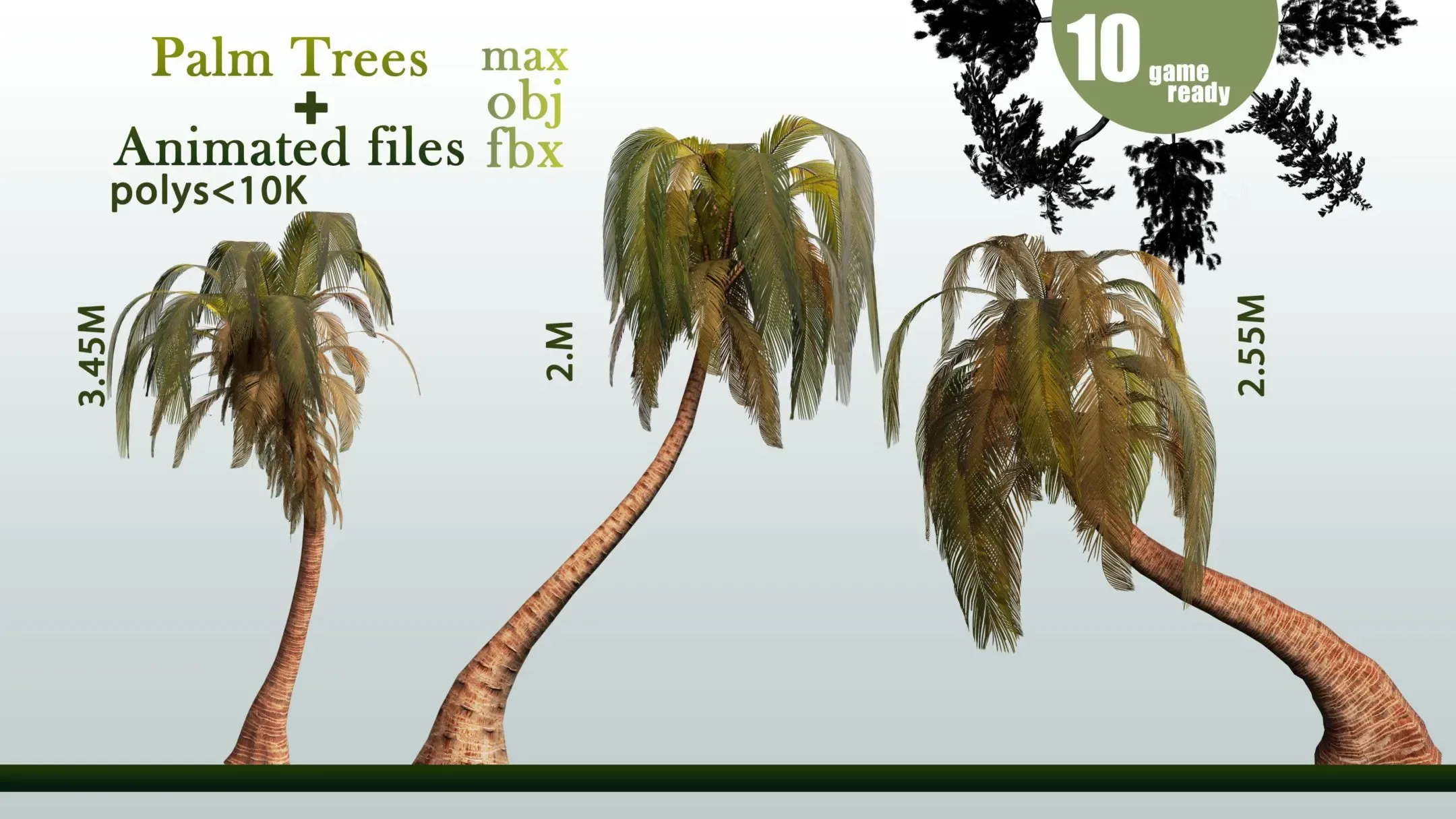 10 Palm Trees VOL 04+ Animated Files