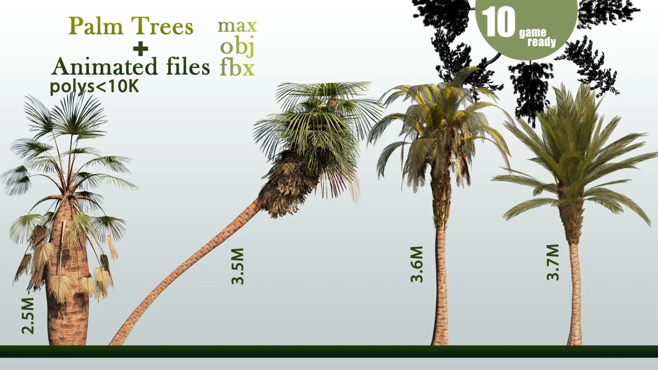 10 Palm Trees VOL 04+ Animated Files