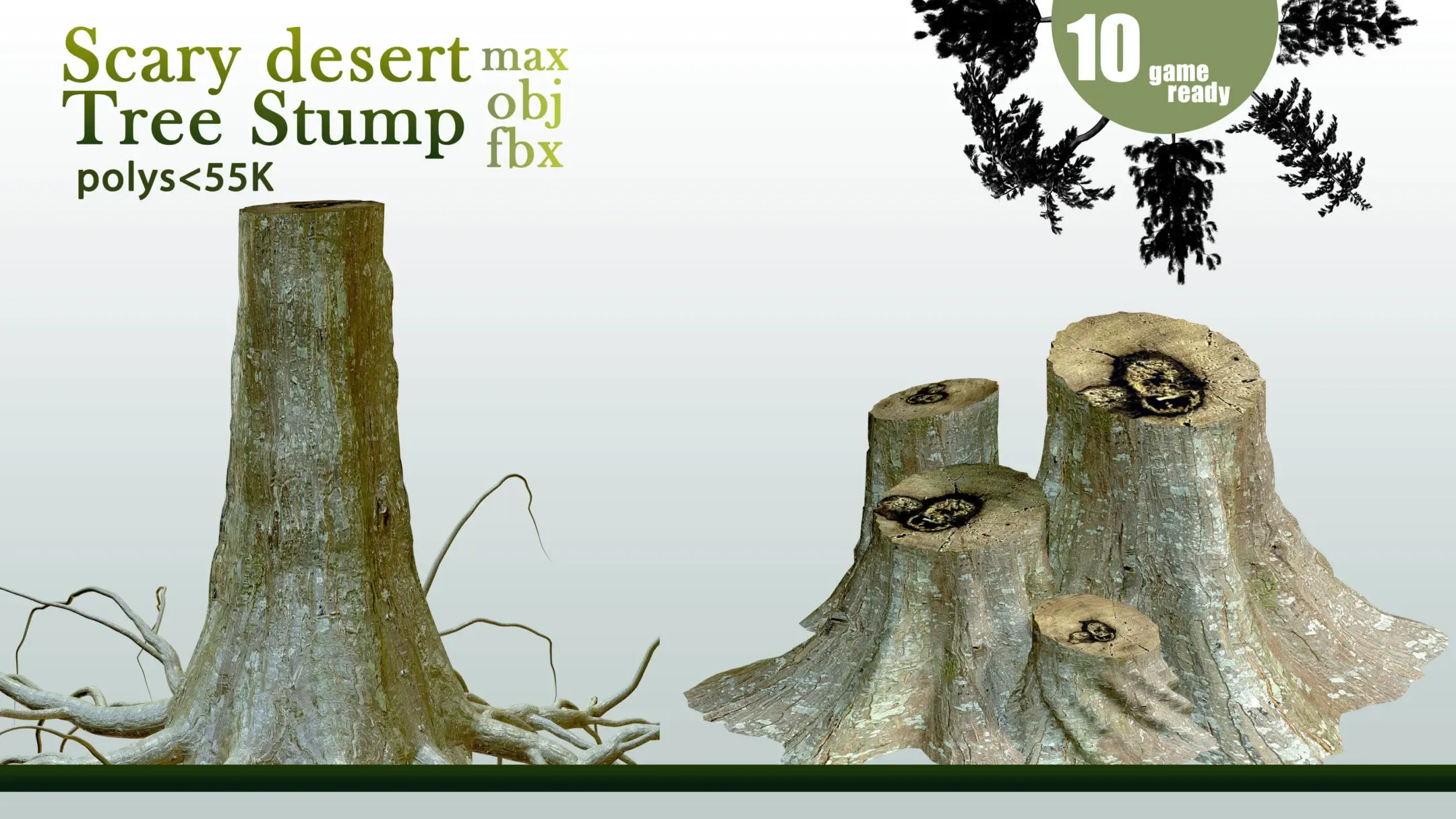 10 Tree Stump VOL 06