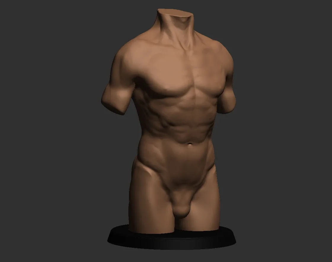 Realistic torso reference- includes stl file ready to print