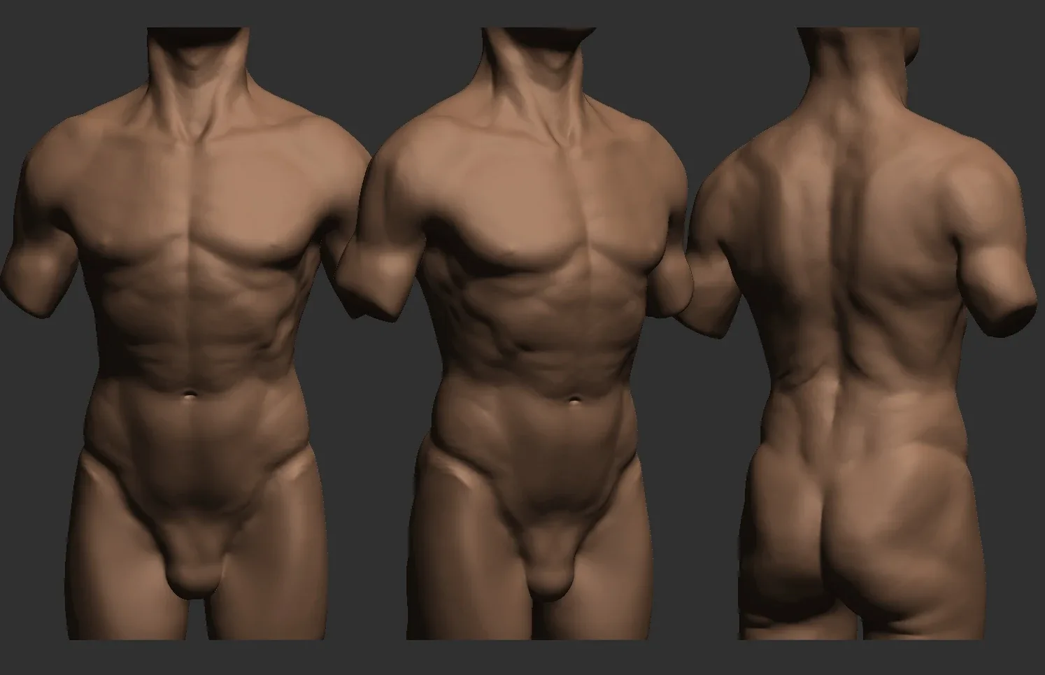 Realistic torso reference- includes stl file ready to print