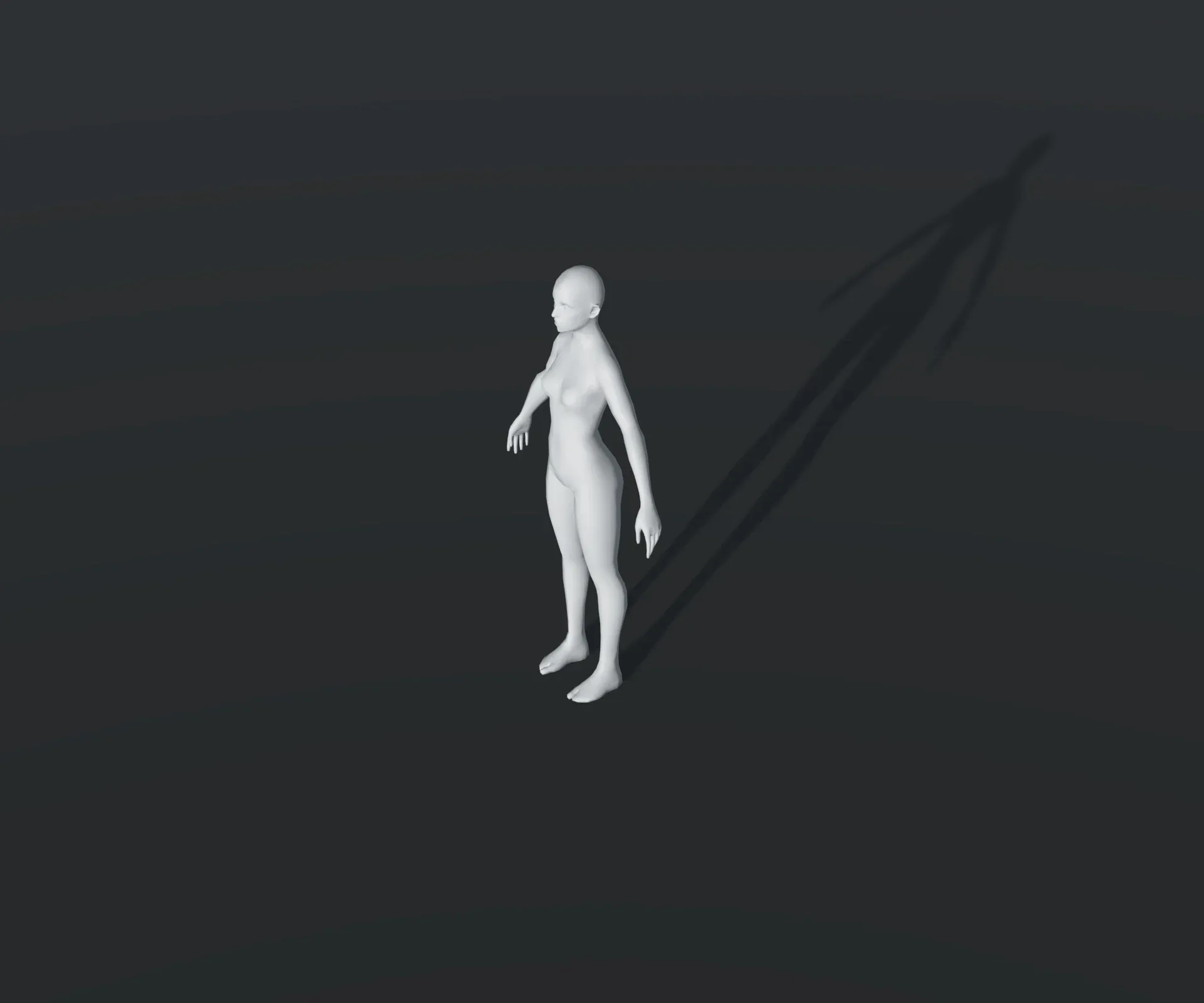 Male and Female Body Base Mesh 28 Animations 3D Model