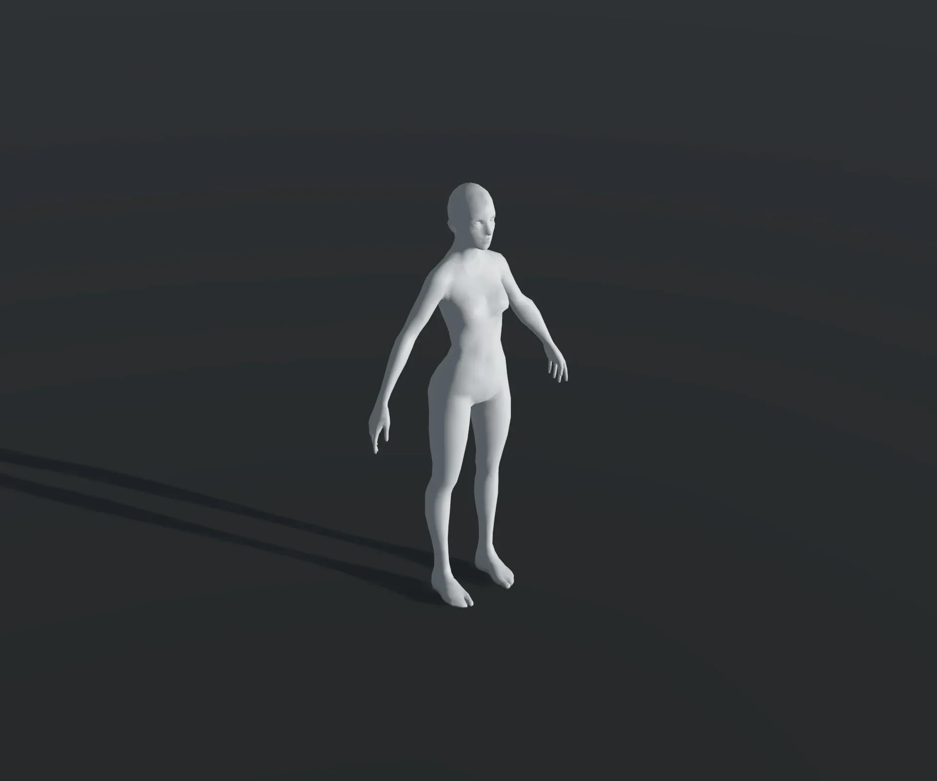 Male and Female Body Base Mesh 28 Animations 3D Model