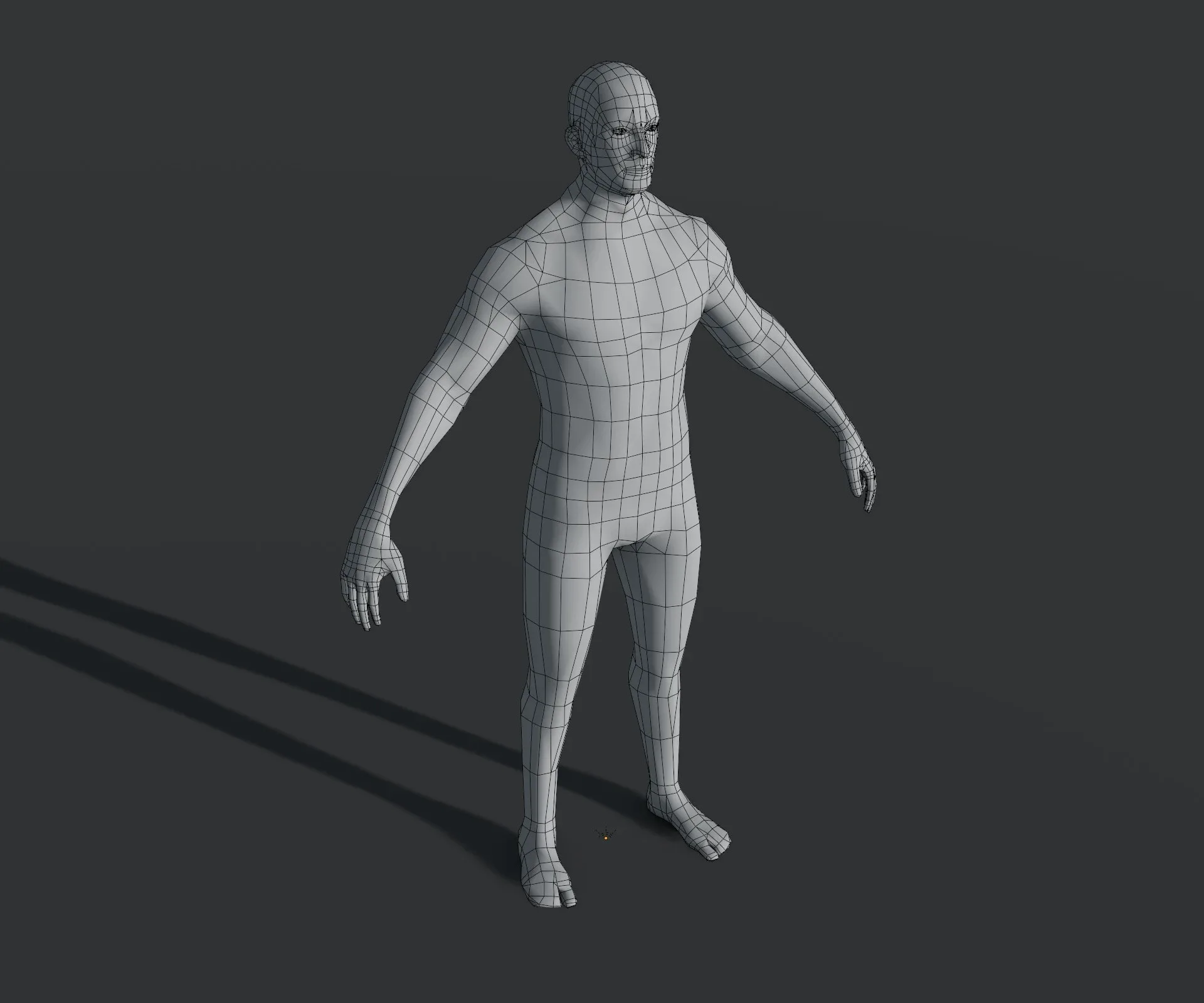 Male and Female Body Base Mesh 28 Animations 3D Model