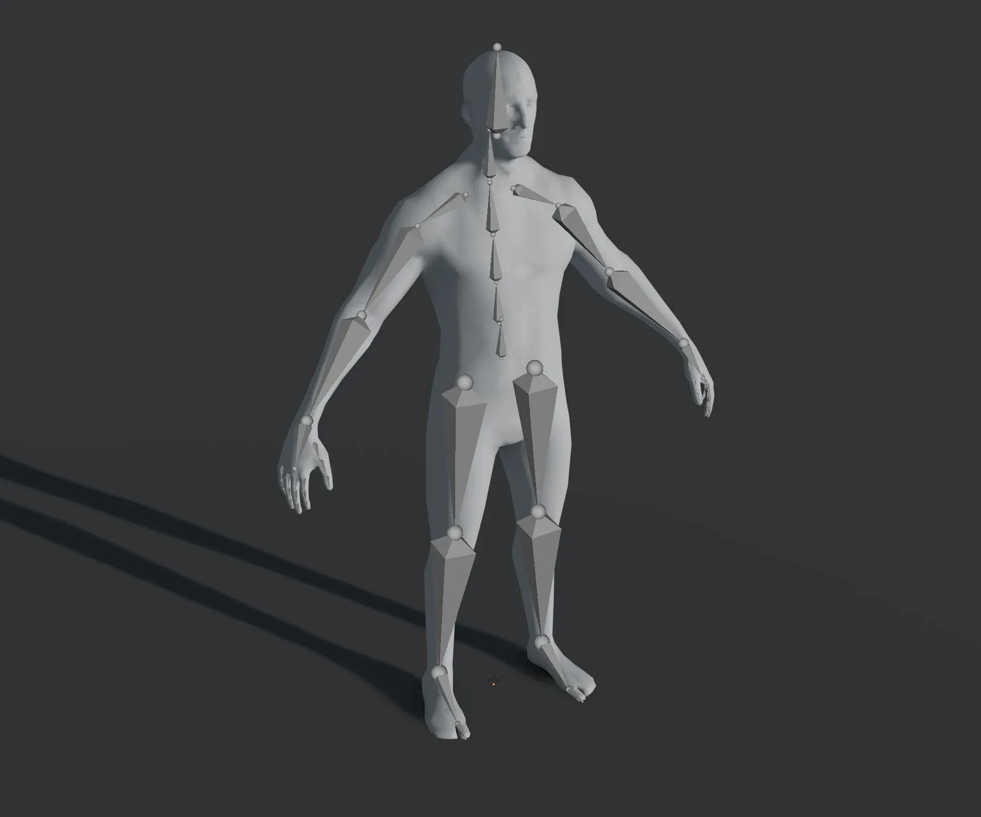 Male and Female Body Base Mesh 28 Animations 3D Model