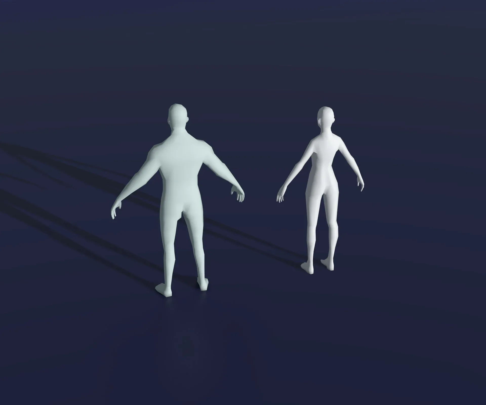 Male and Female Body Base Mesh 28 Animations 3D Model 1k Polygons