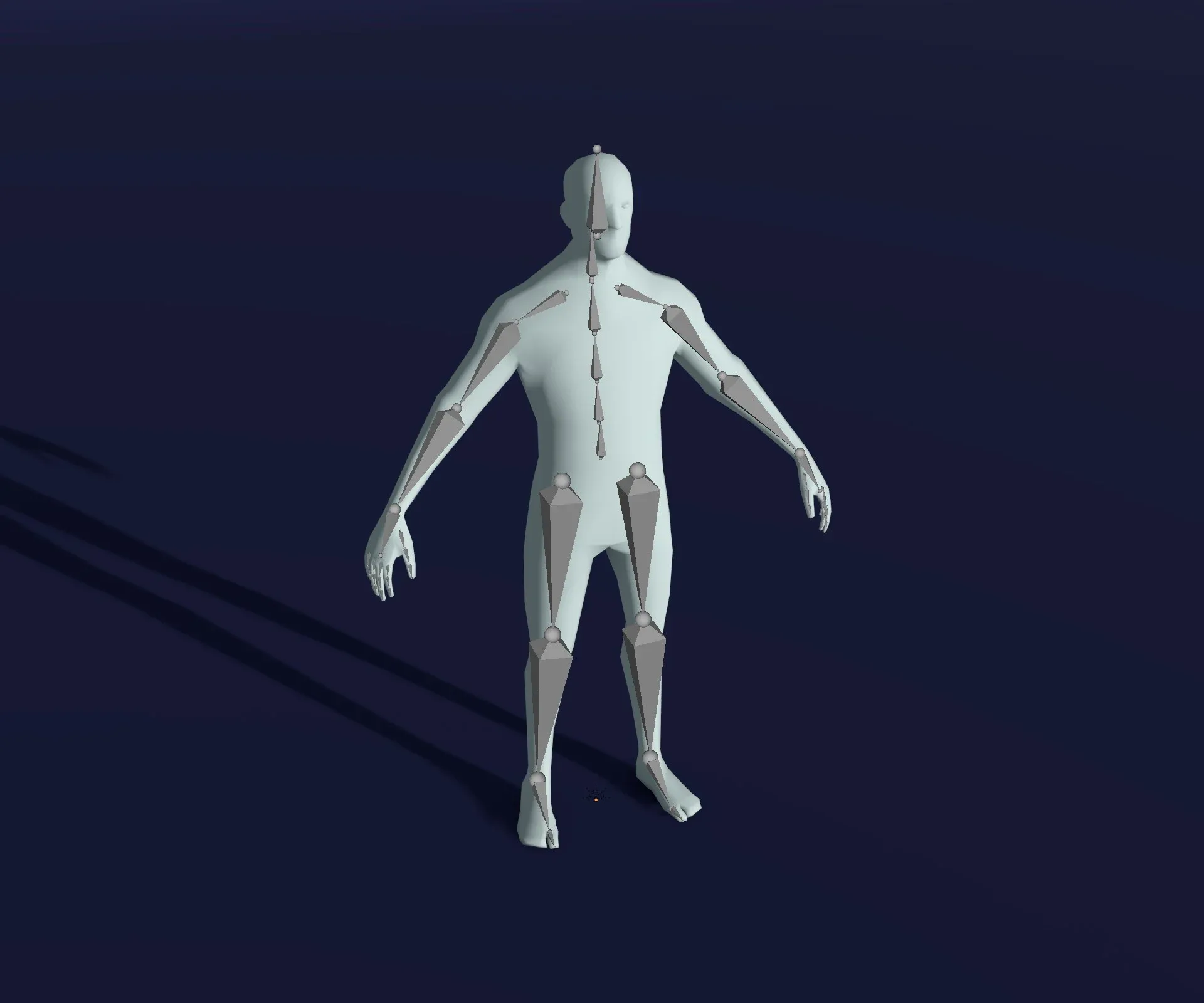 Male and Female Body Base Mesh 28 Animations 3D Model 1k Polygons