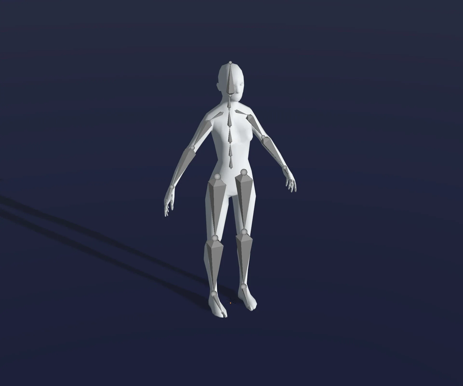 Male and Female Body Base Mesh 28 Animations 3D Model 1k Polygons