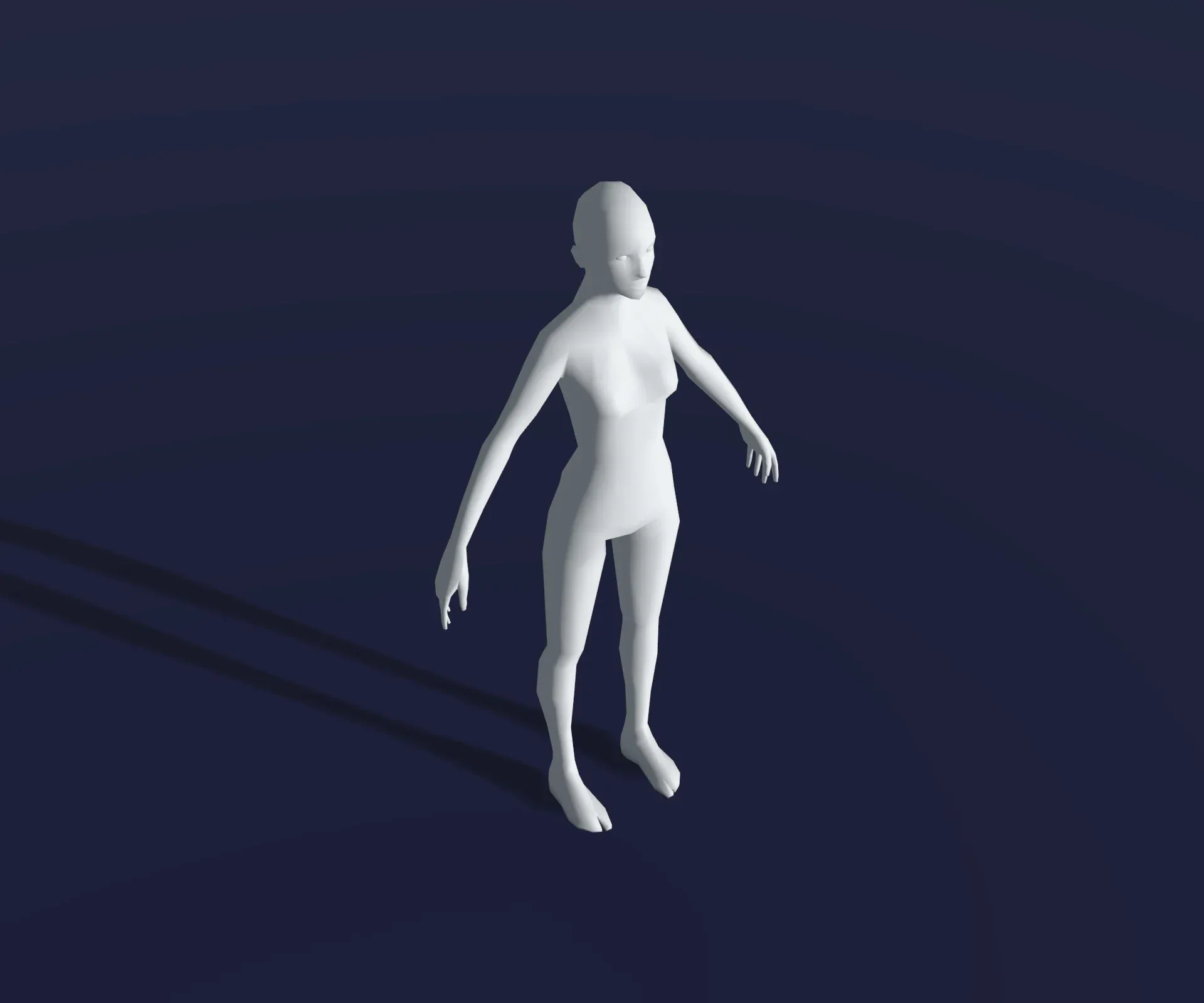 Male and Female Body Base Mesh 28 Animations 3D Model 1k Polygons