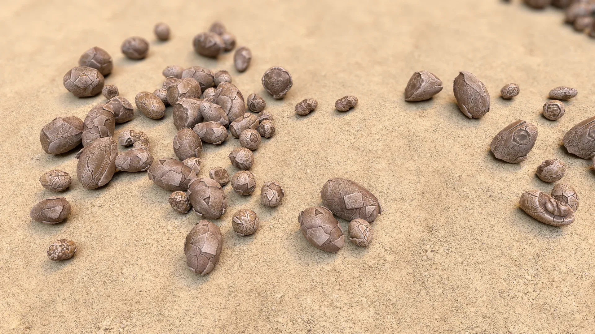 Fossil Eggs - Collection