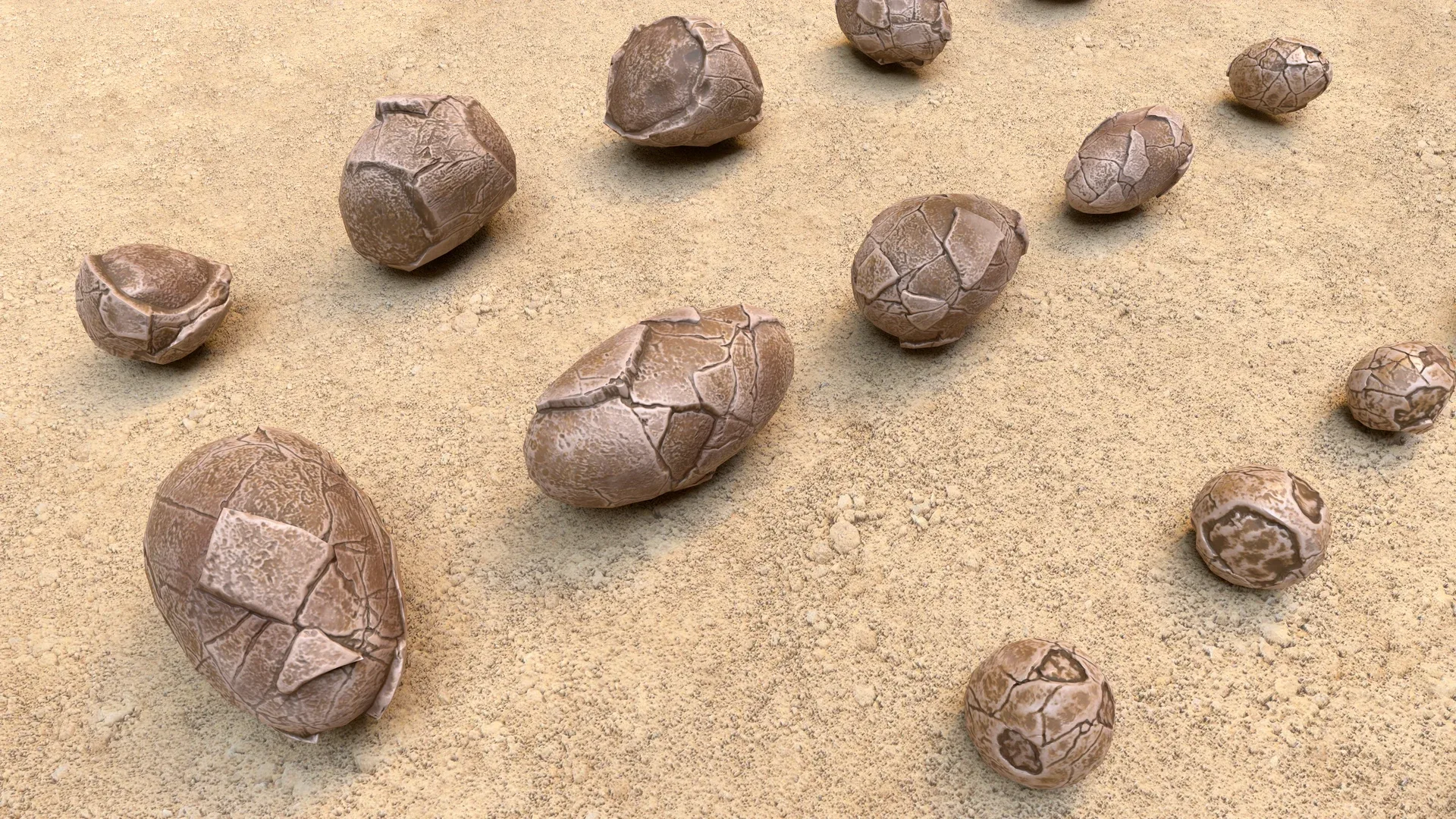 Fossil Eggs - Collection
