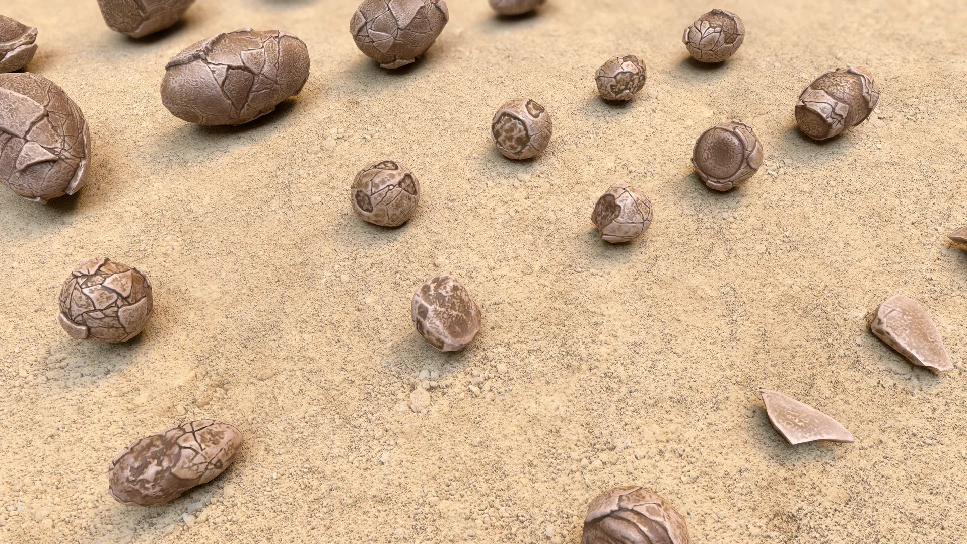 Fossil Eggs - Collection