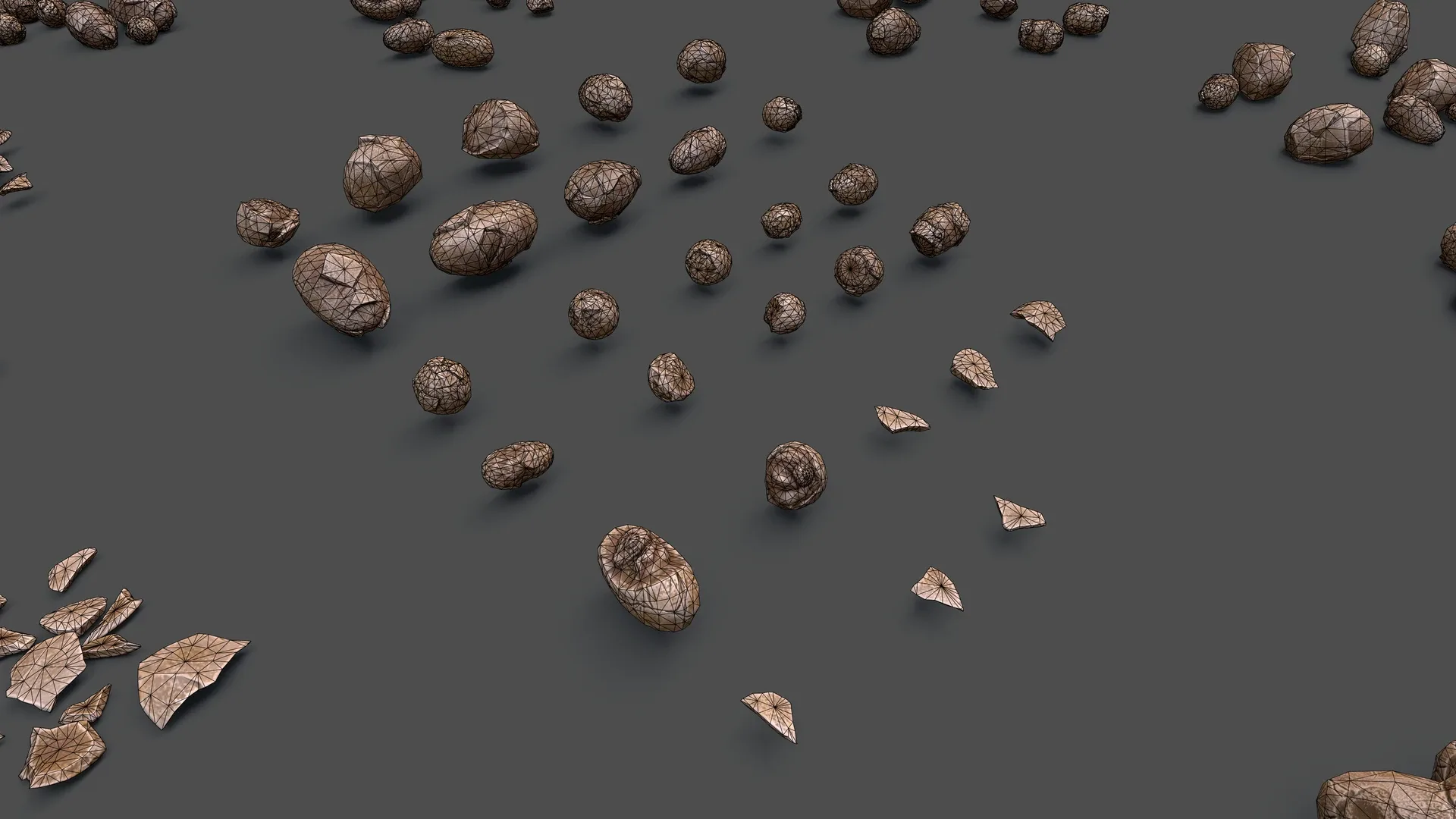 Fossil Eggs - Collection