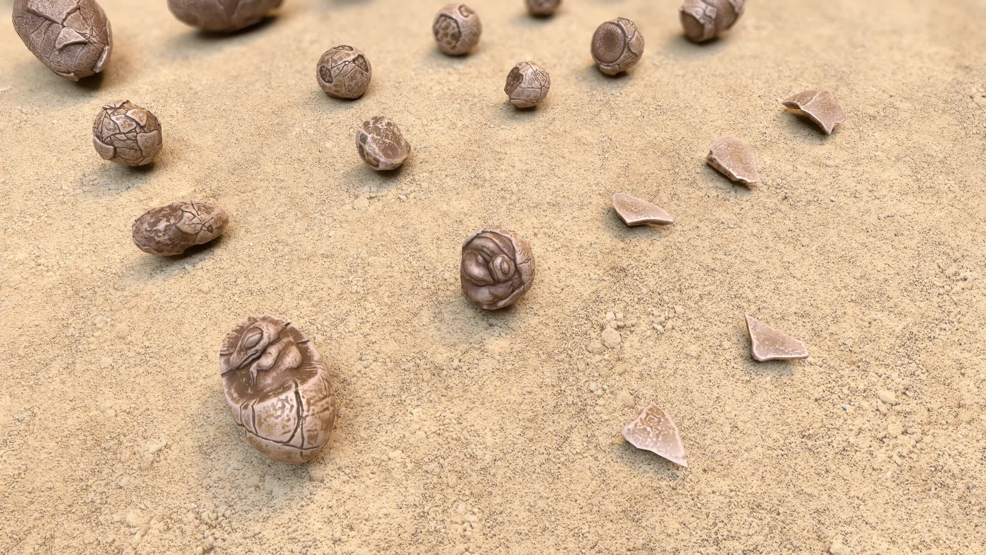 Fossil Eggs - Collection