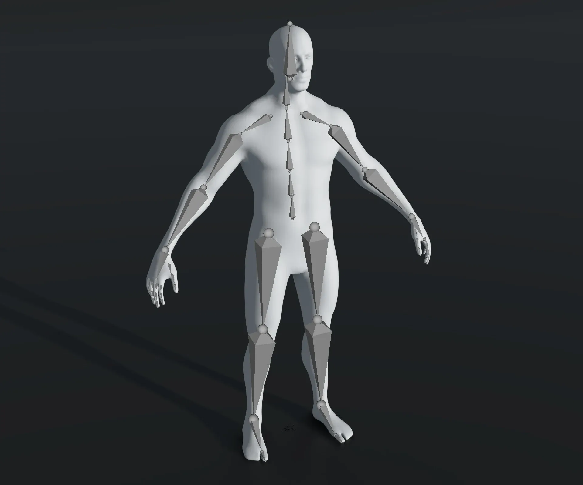 Human Body Base Mesh 28 Animations 10 3D Models