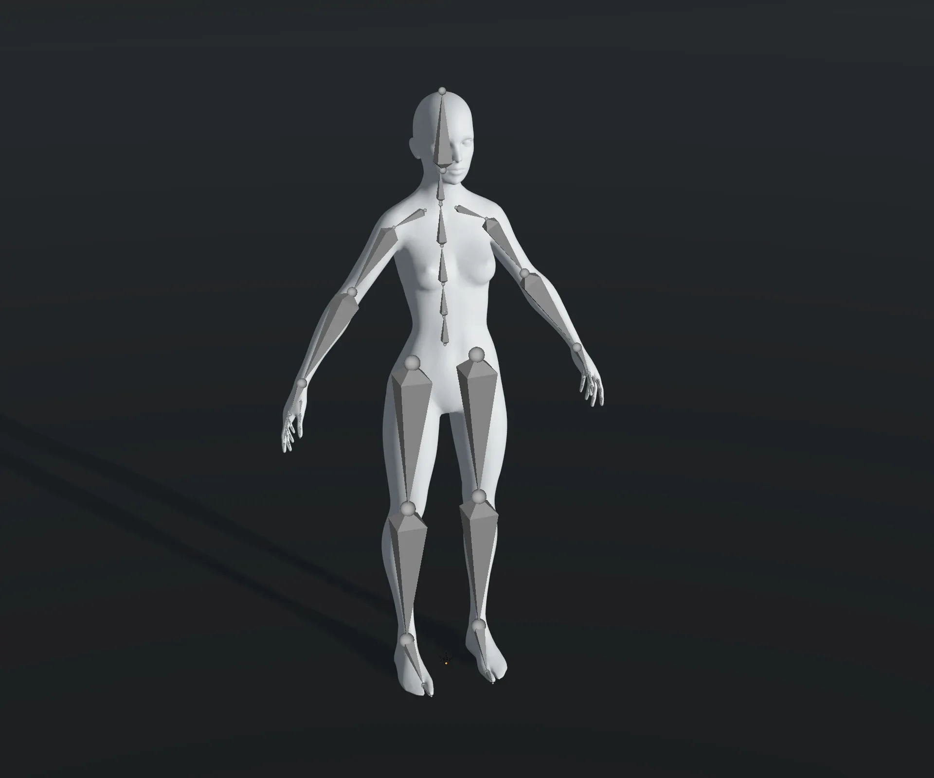 Human Body Base Mesh 28 Animations 10 3D Models
