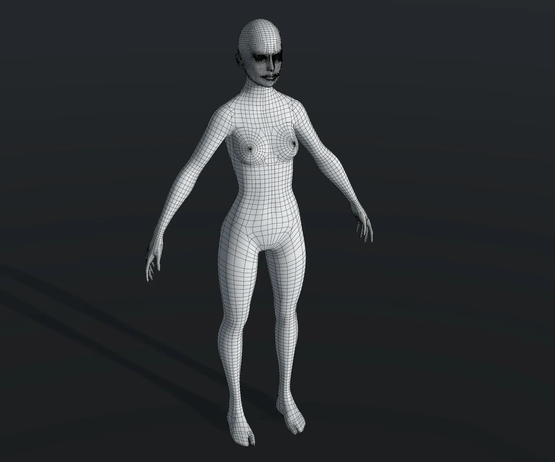 Human Body Base Mesh 28 Animations 10 3D Models