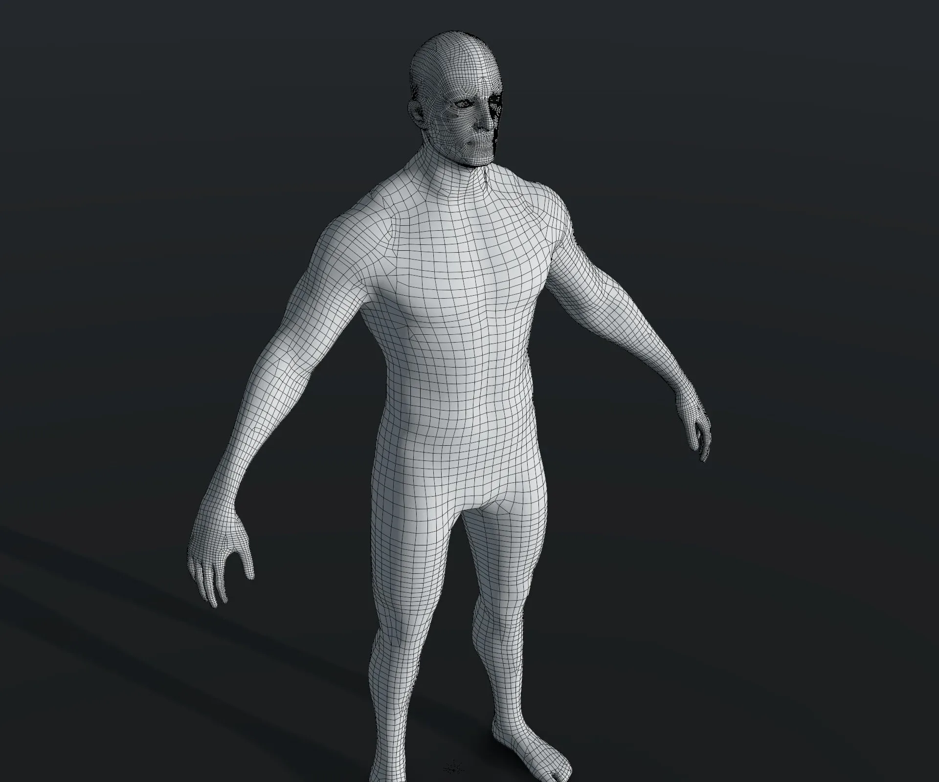 Human Body Base Mesh 28 Animations 10 3D Models