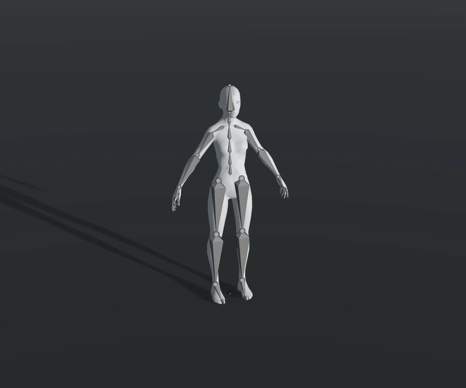 Human Body Base Mesh 28 Animations 10 3D Models