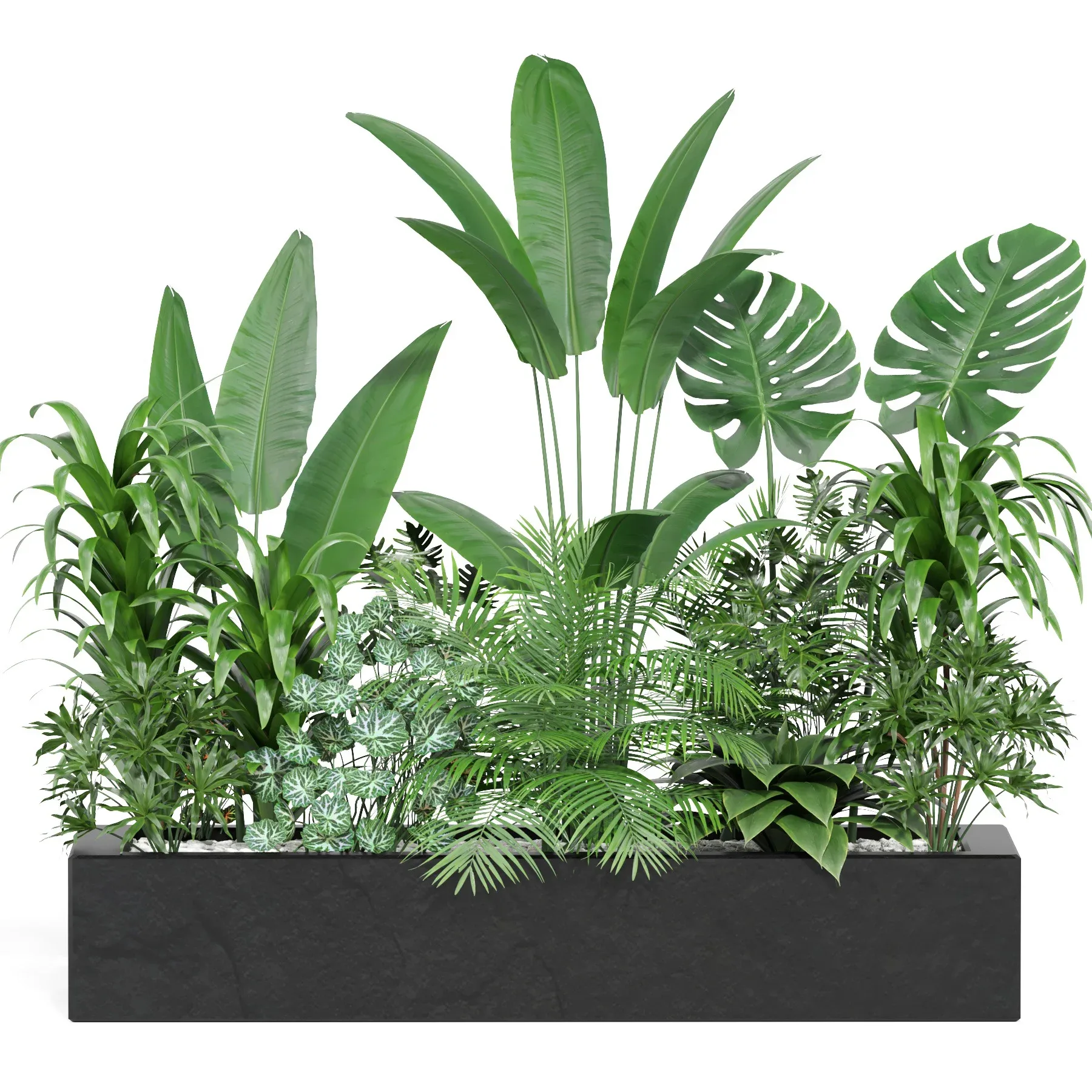 indoor outdoor plant set006 collection FlippedNormals