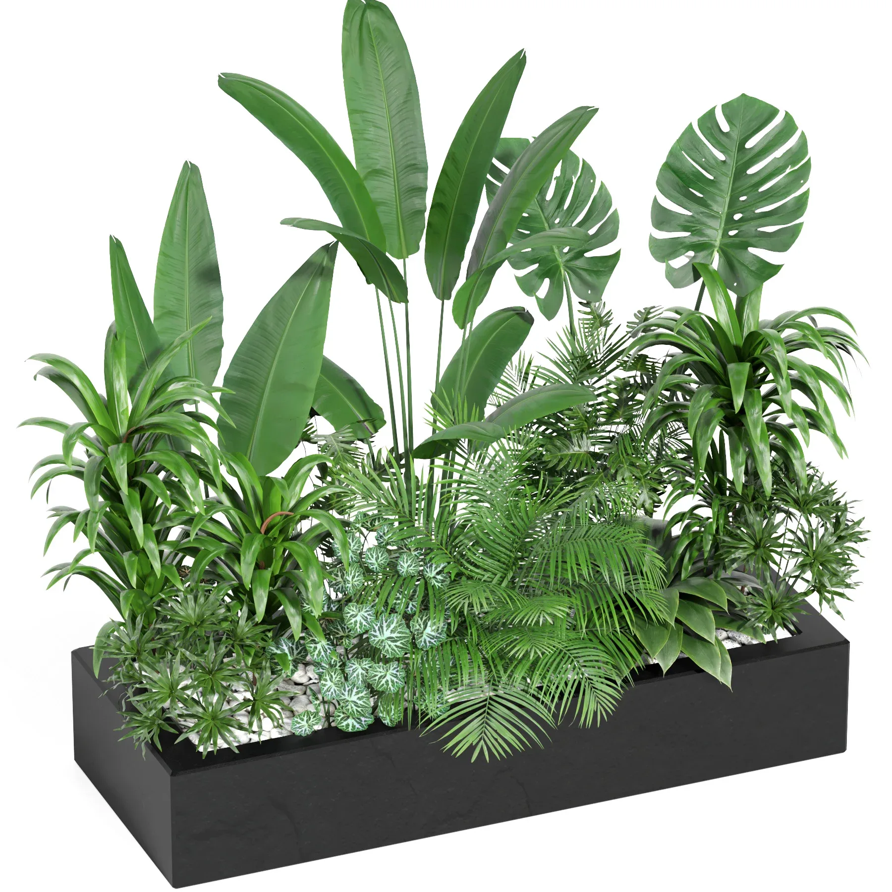 indoor outdoor plant set006 collection