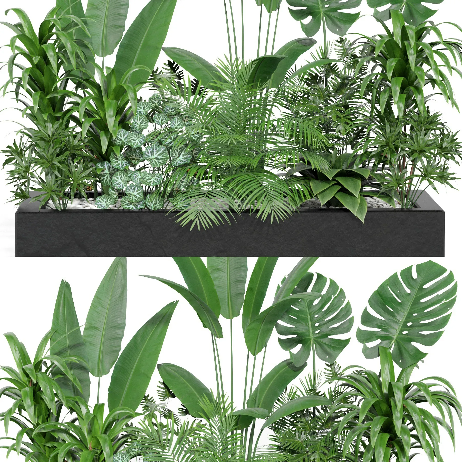 indoor outdoor plant set006 collection FlippedNormals