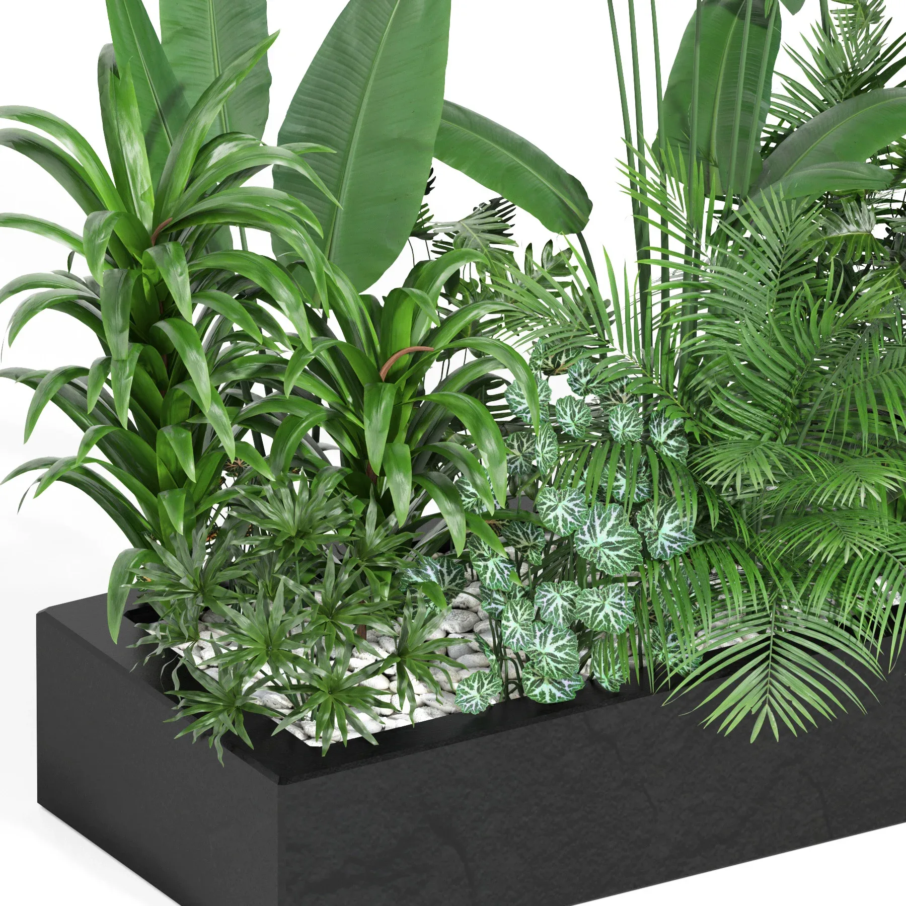 indoor outdoor plant set006 collection FlippedNormals