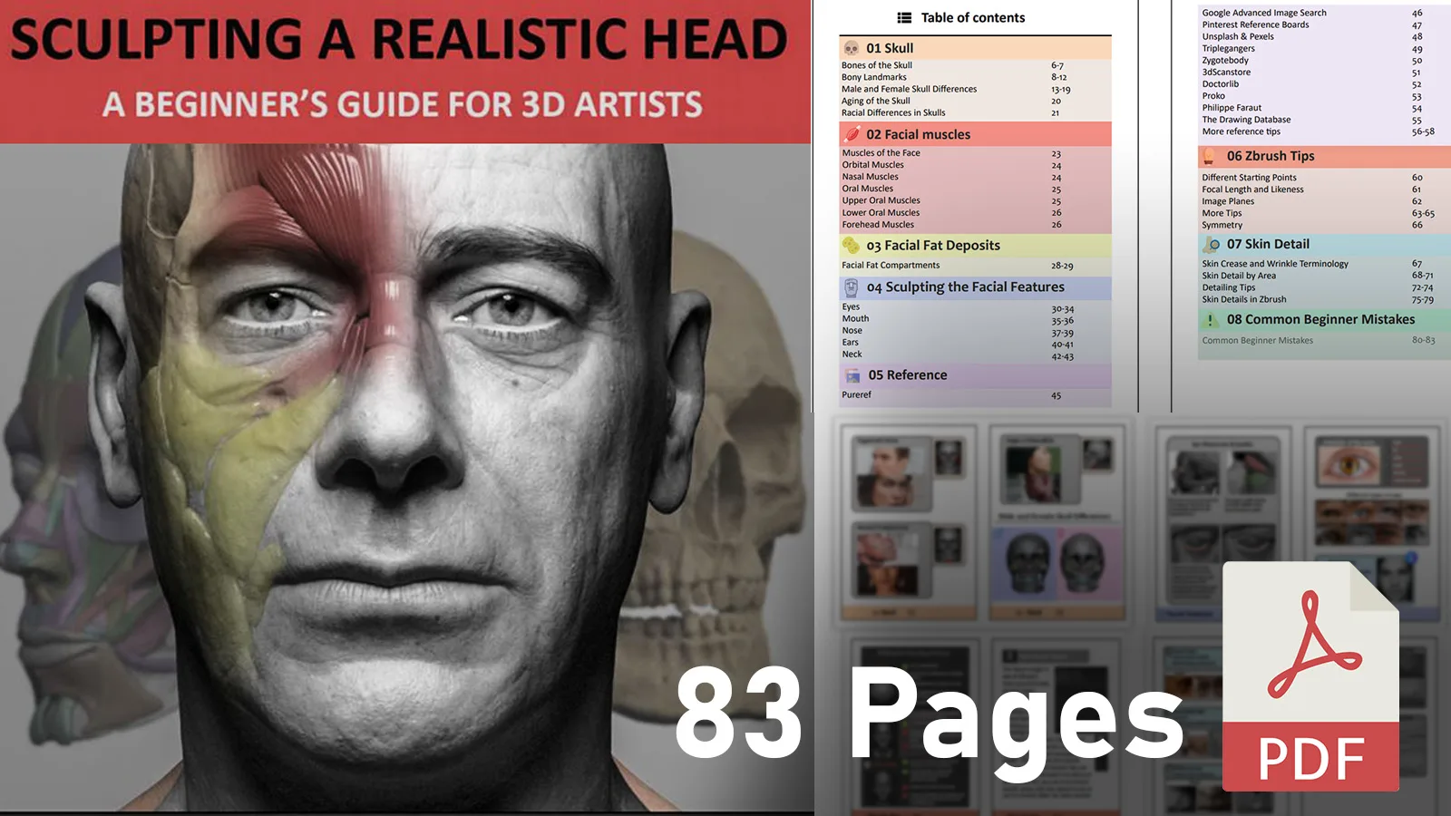 Head Sculpting Beginner Guide - Ebook/PDF