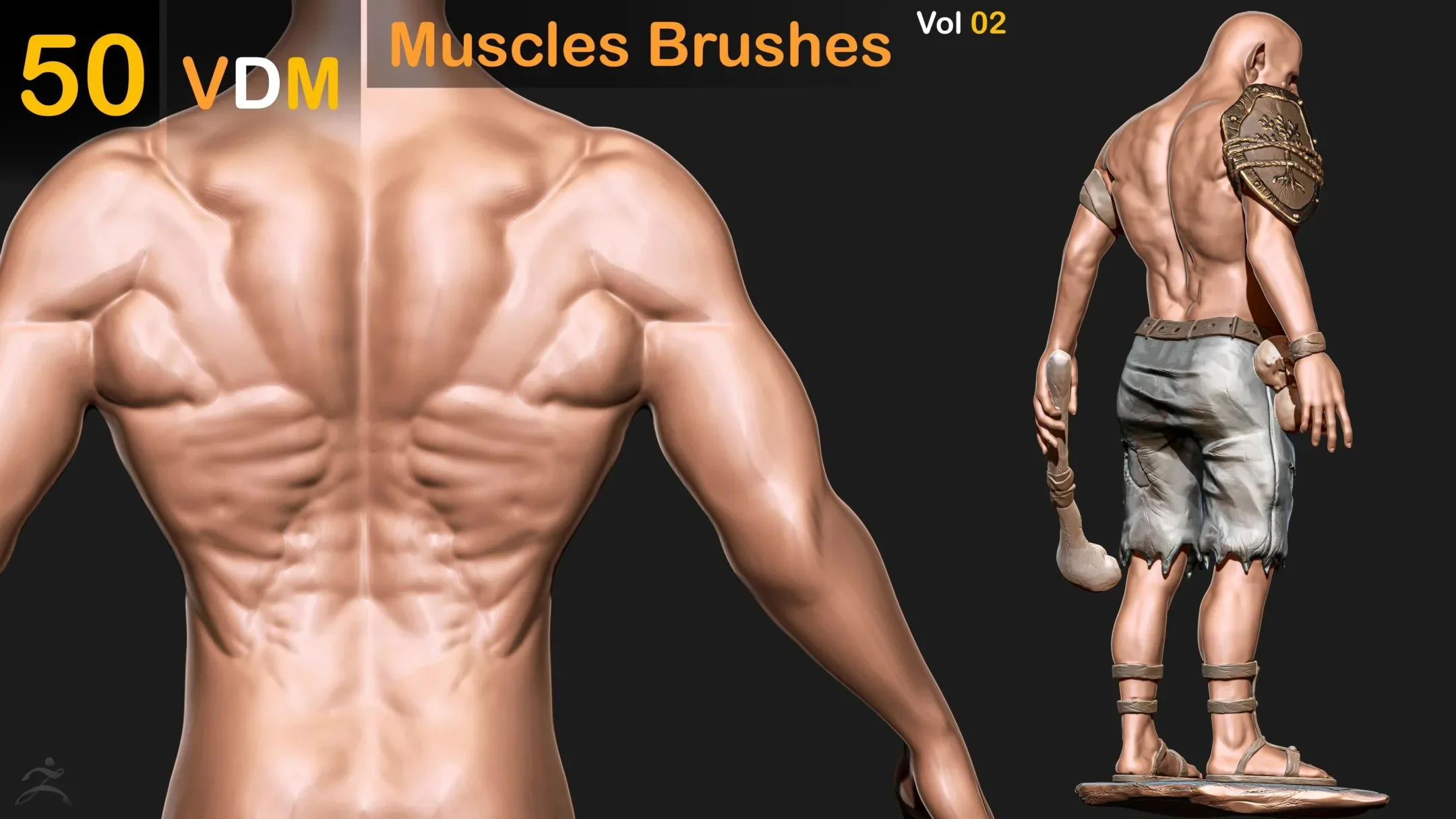 122 VDM Muscles Brush Bundle ( 20% OFF )
