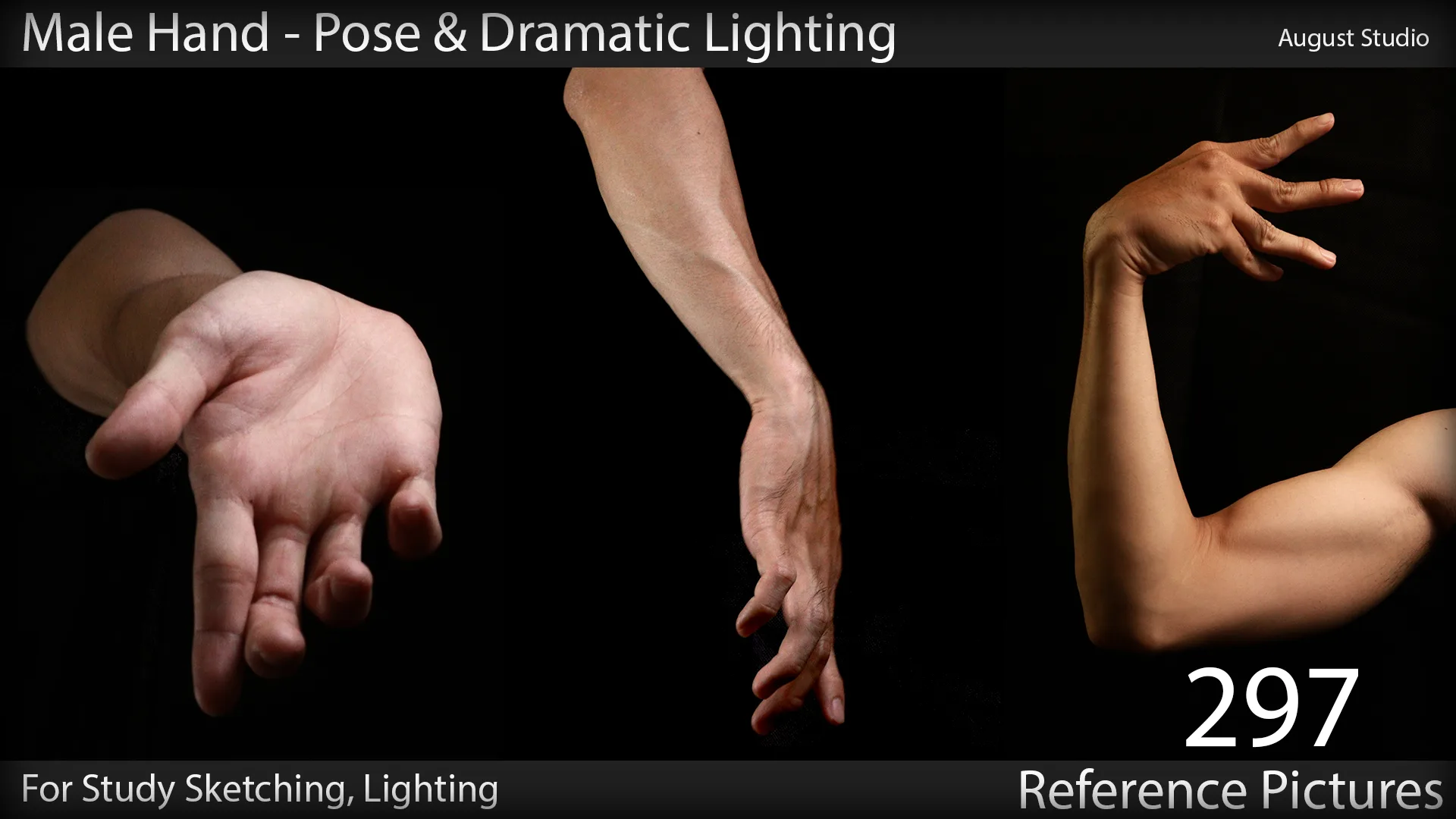 Male Hand - Pose & Lighting - Vol1 - Reference Pictures