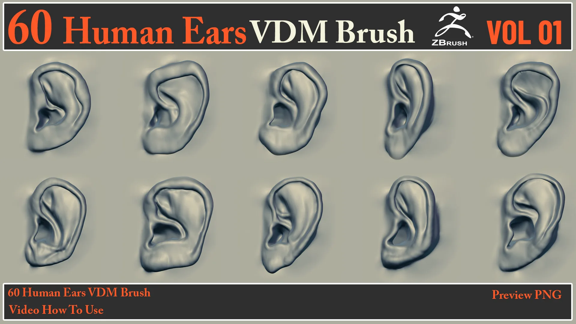 60 Human Ears VDM Brush + Video How To Use