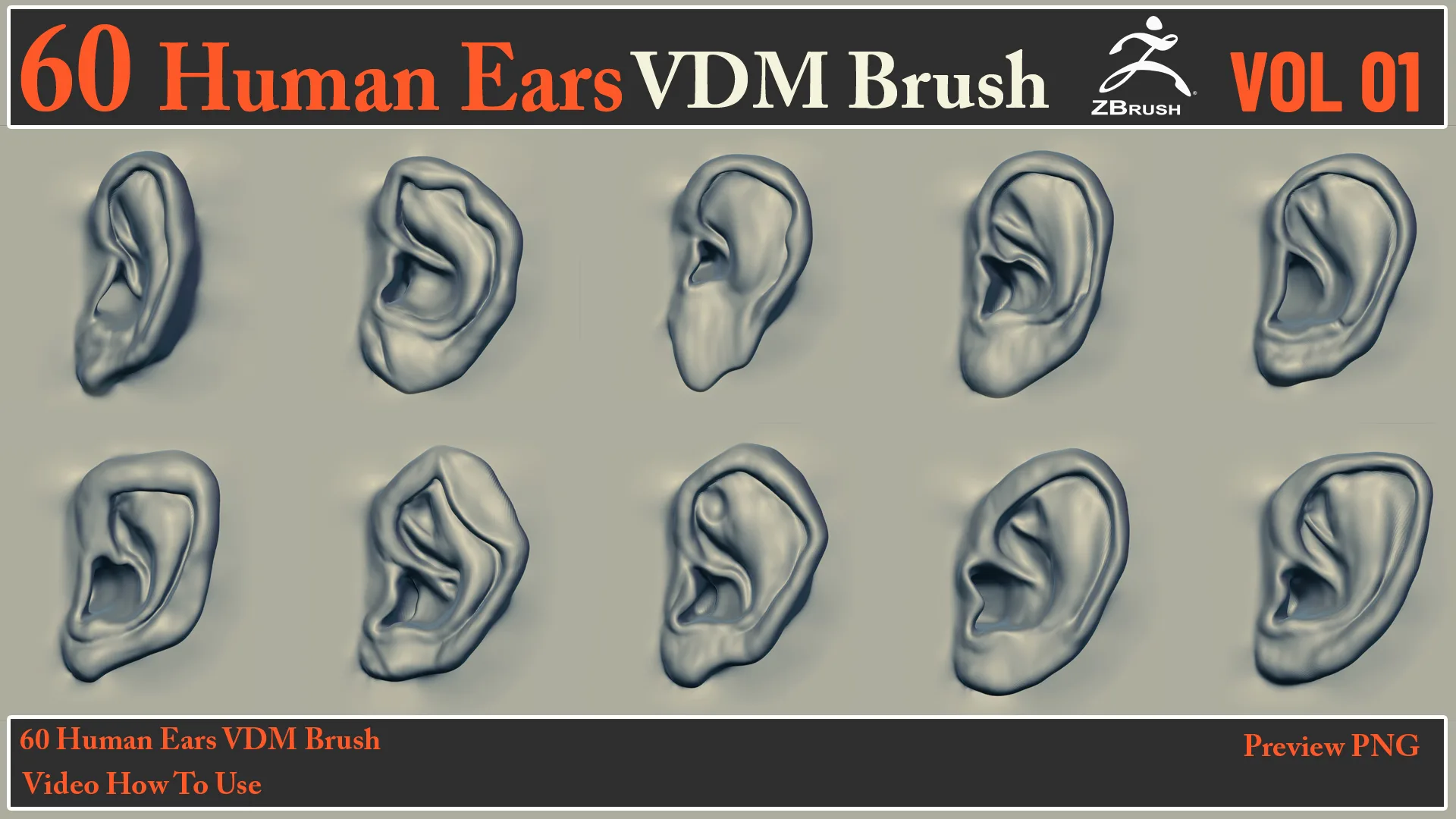 60 Human Ears VDM Brush + Video How To Use