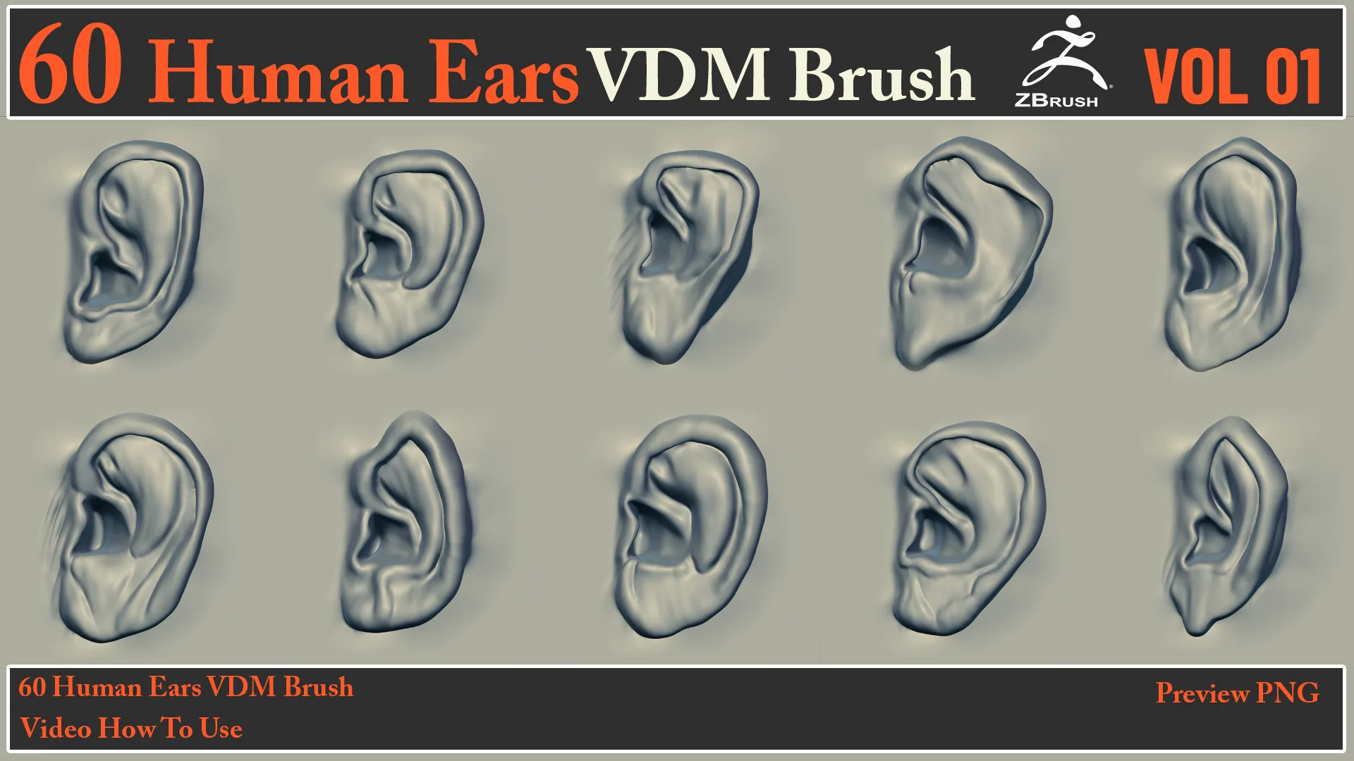 60 Human Ears VDM Brush + Video How To Use