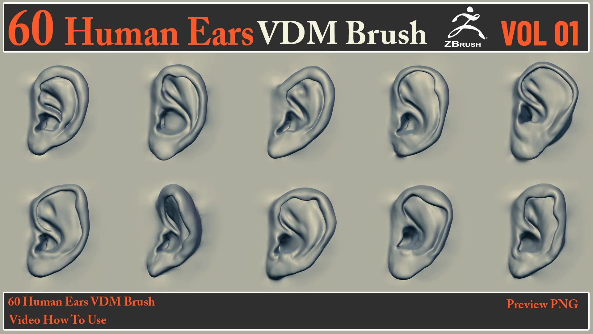 60 Human Ears VDM Brush + Video How To Use