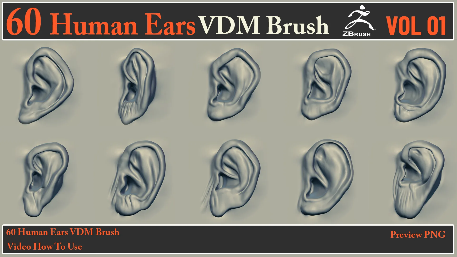 60 Human Ears VDM Brush + Video How To Use