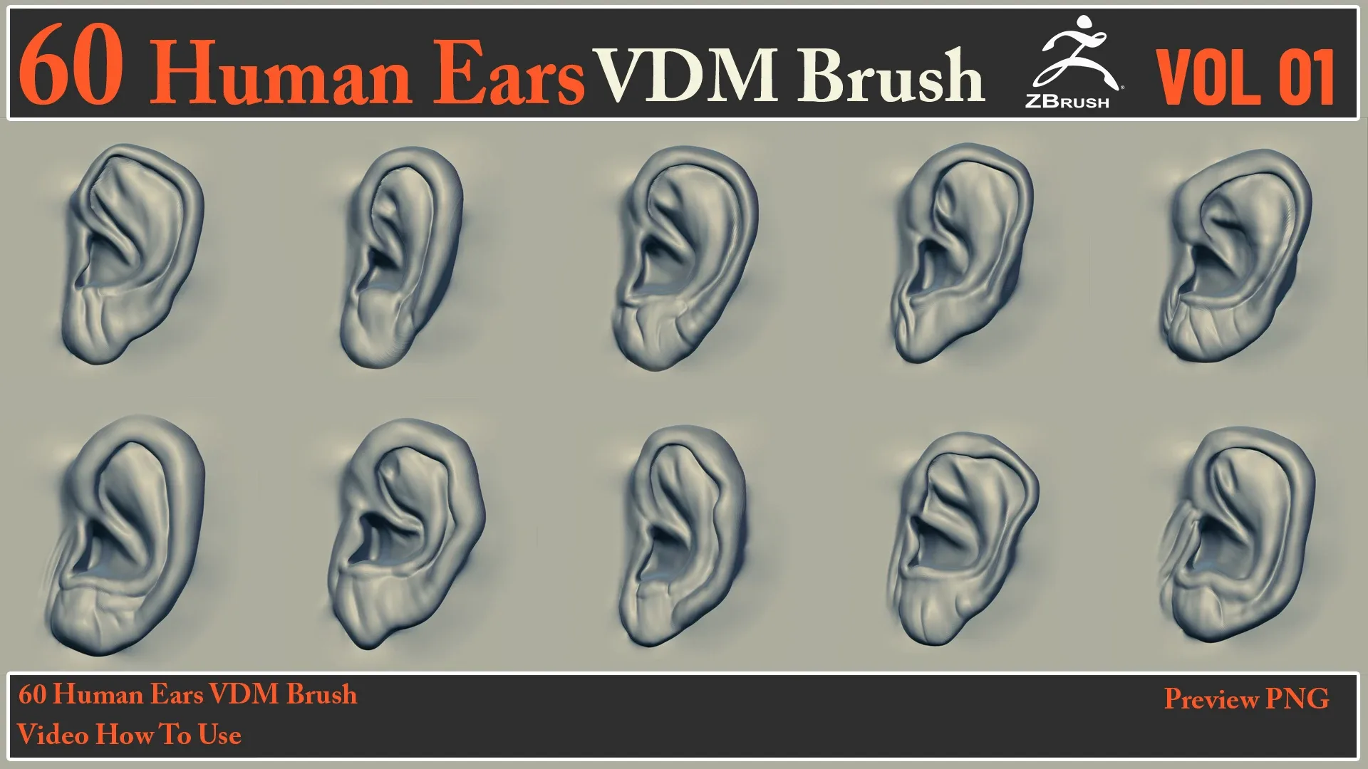 60 Human Ears VDM Brush + Video How To Use