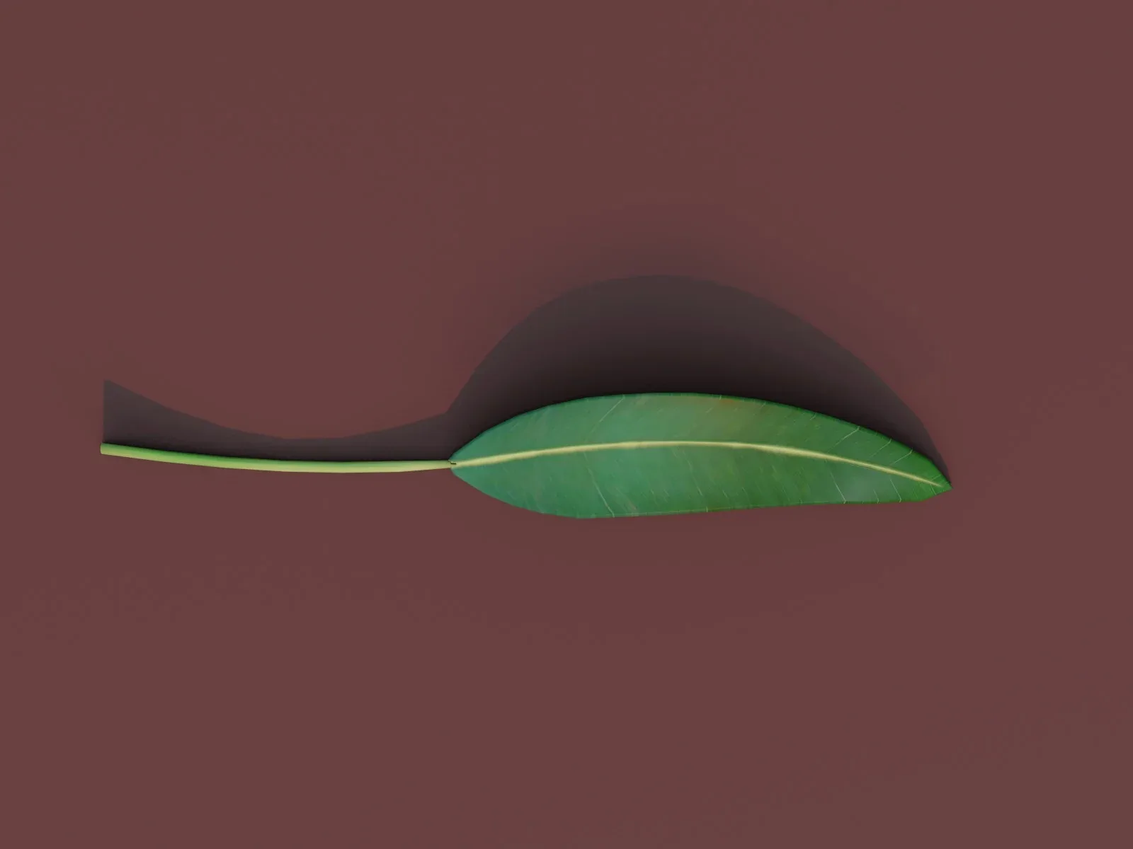 Cartoon Cartoon Eucalyptus Leaf 3D Model