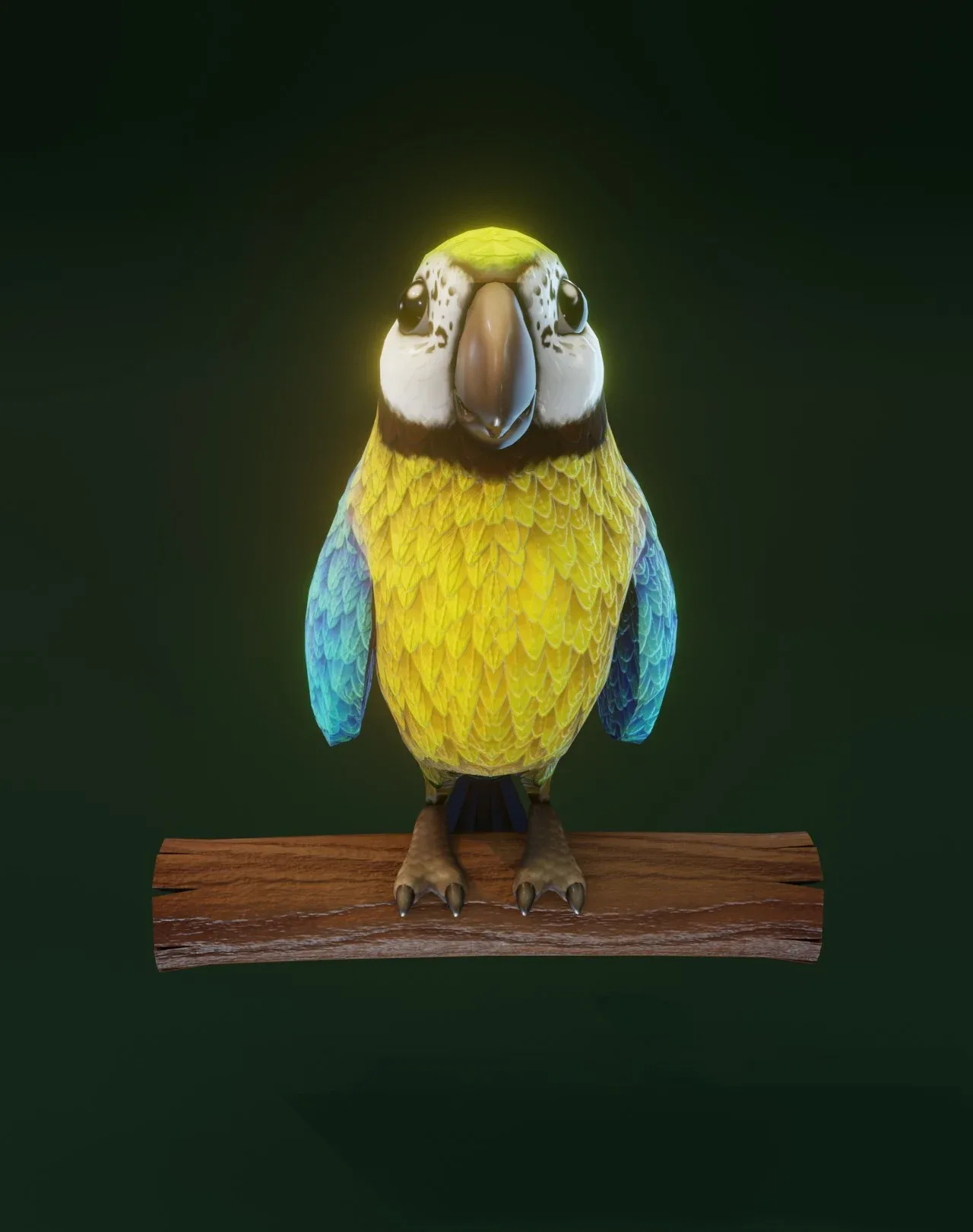 Cartoon Ara Parrot Animated 3D Models