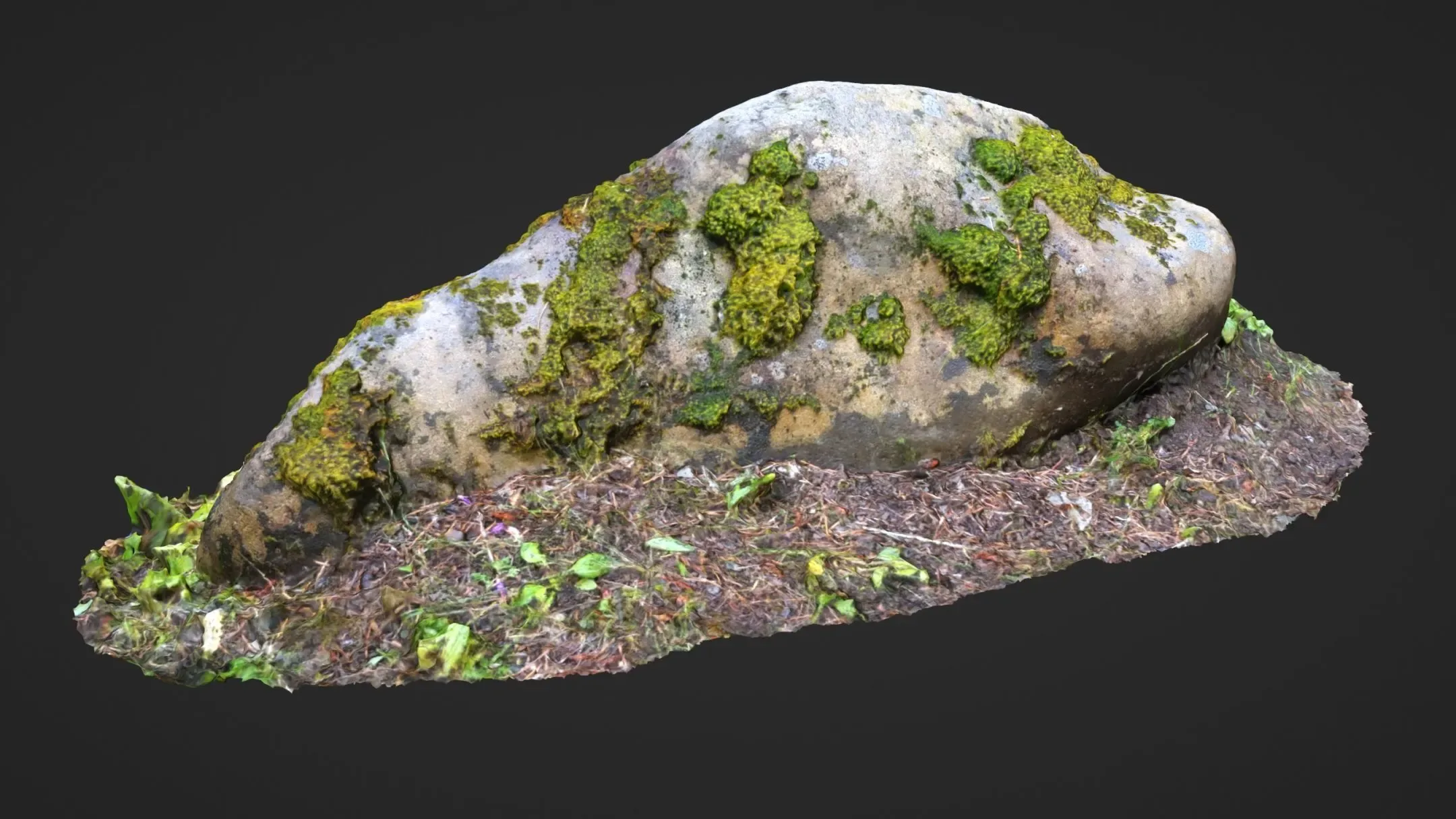 Photoscanned Nature (10 Assets)