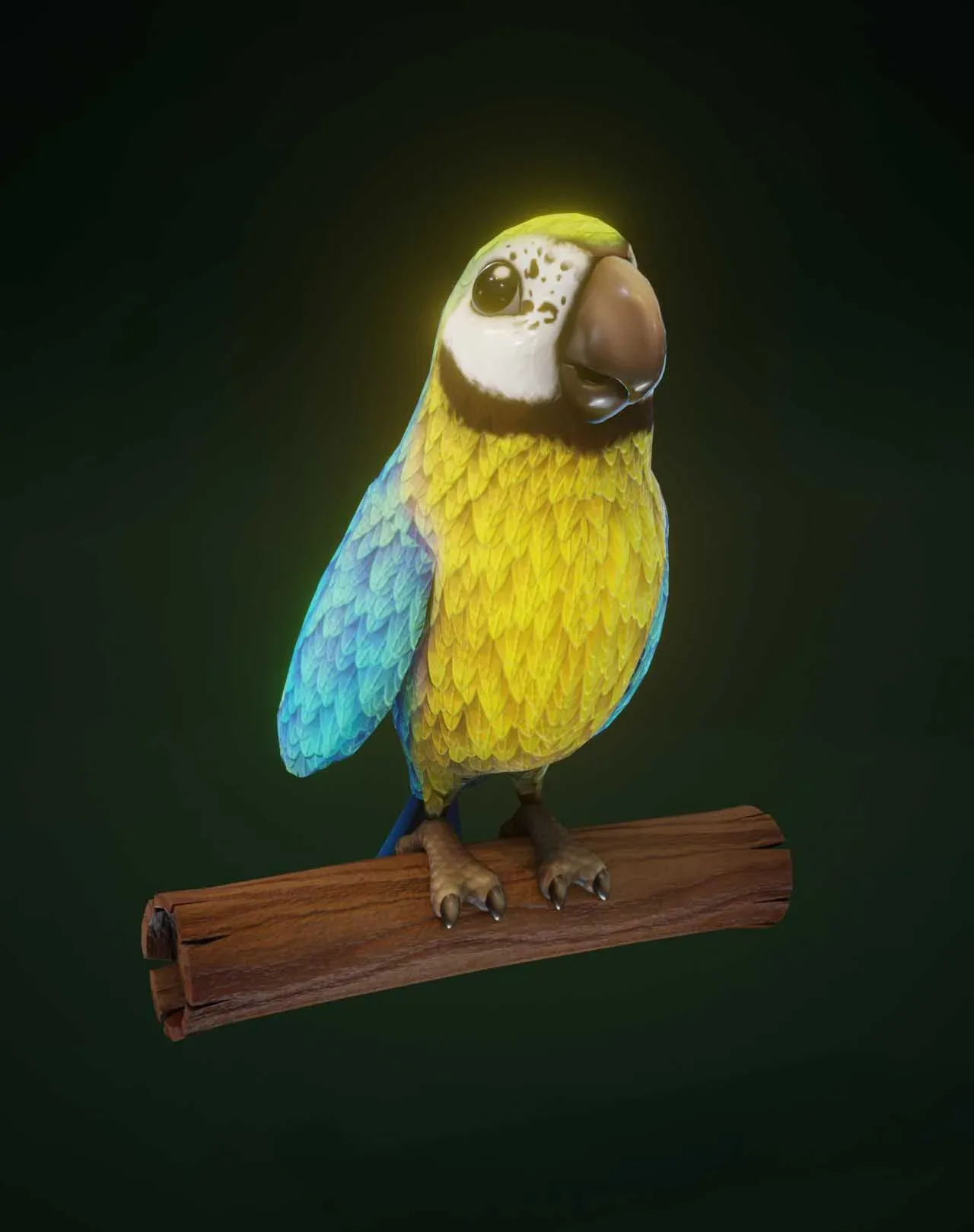 Cartoon Ara Parrot 3D Models