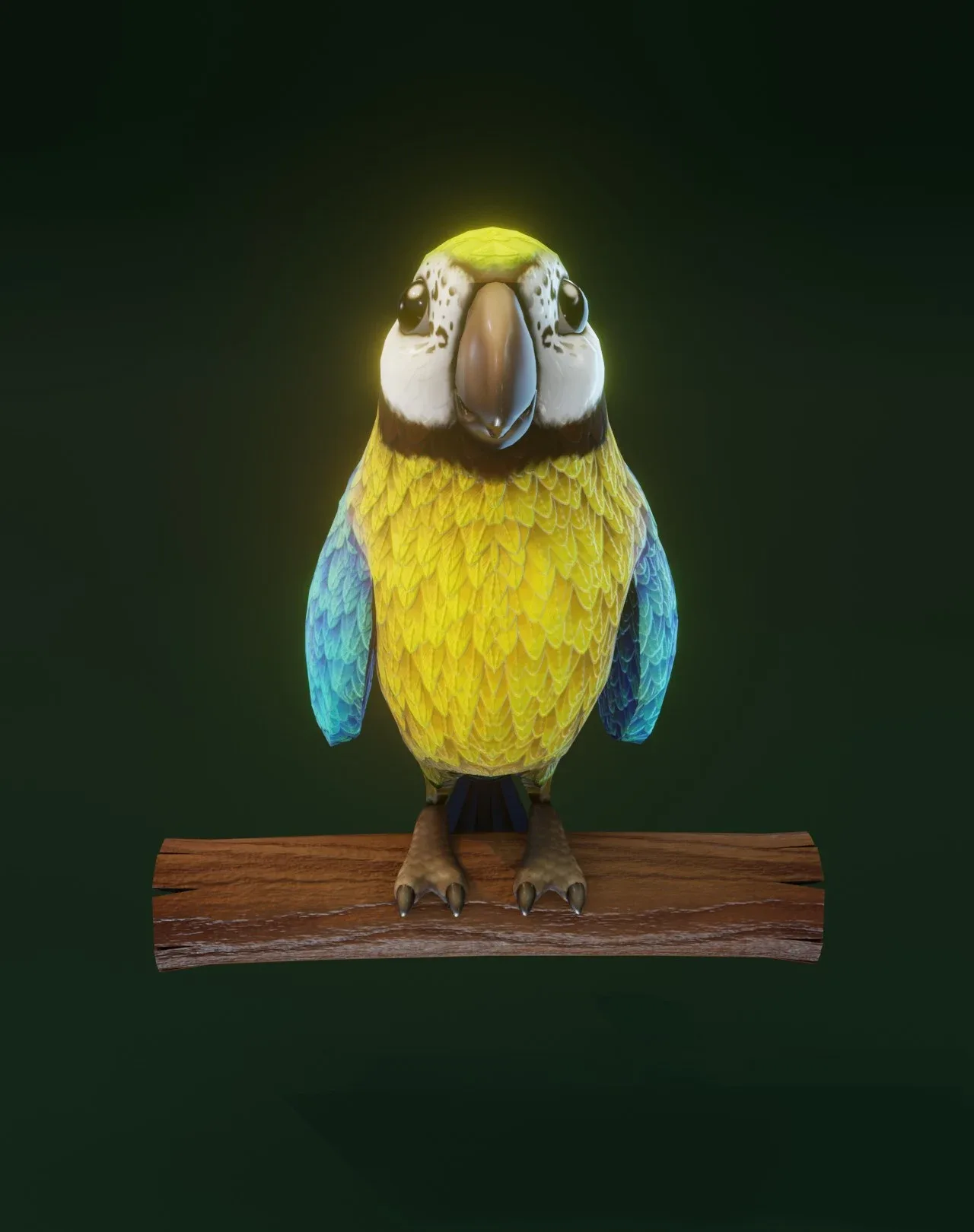 Cartoon Ara Parrot 3D Models