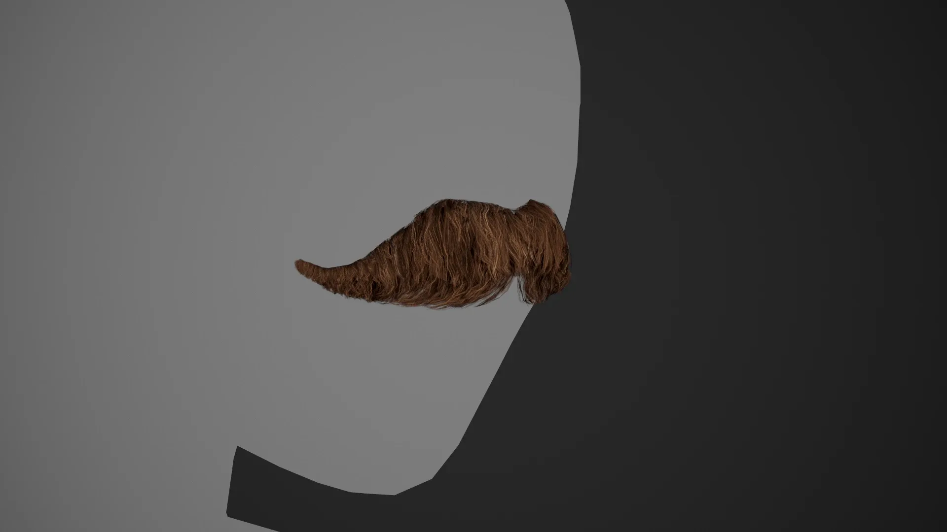 Facial Hair Cards Style 6 - Hungarian Mustache