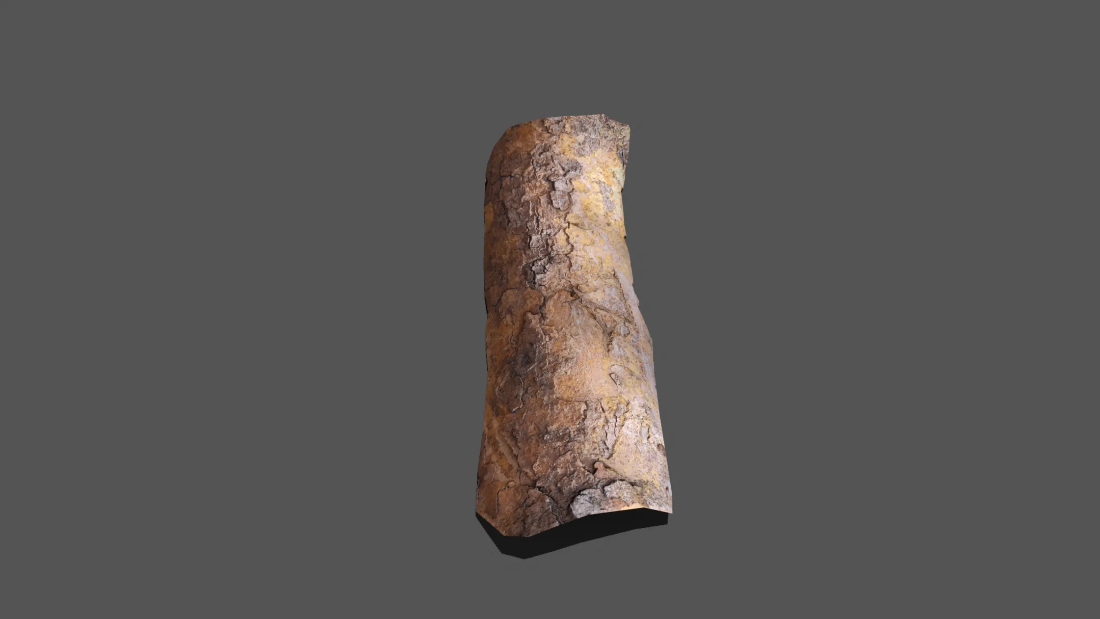 Wood Bark Low Poly