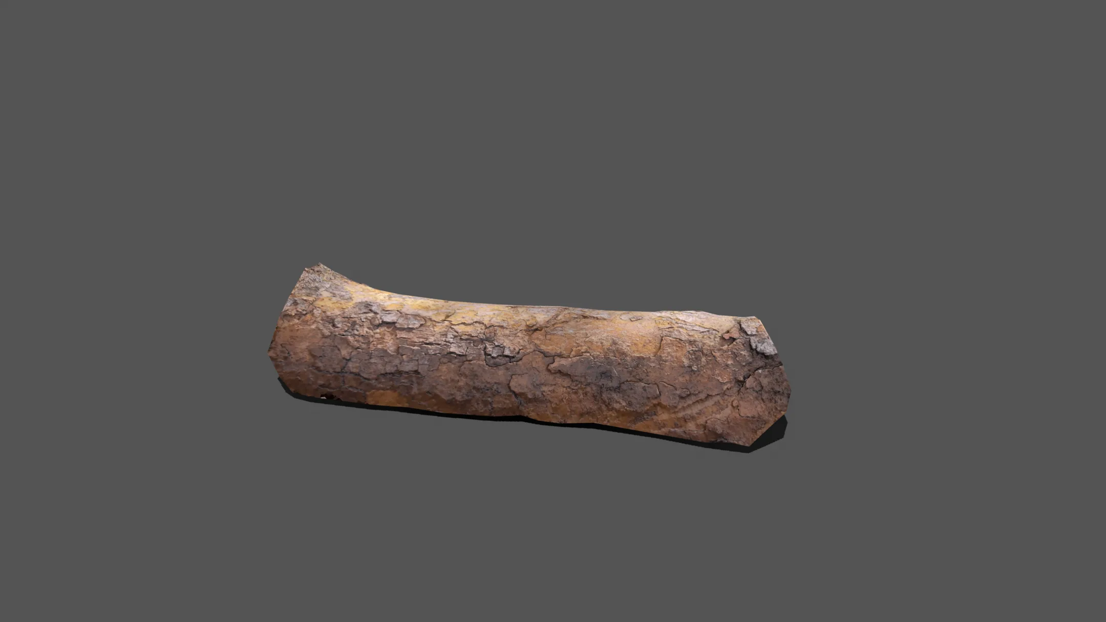 Wood Bark Low Poly