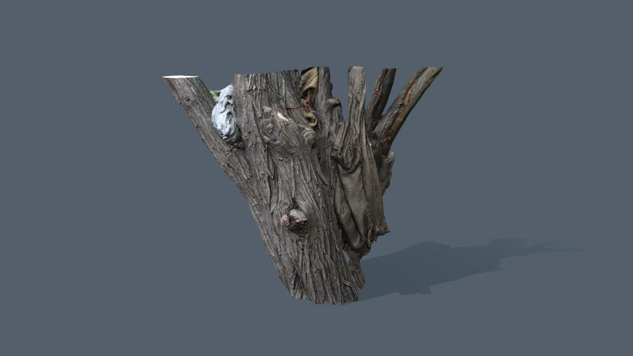 Wood Bark Low Poly