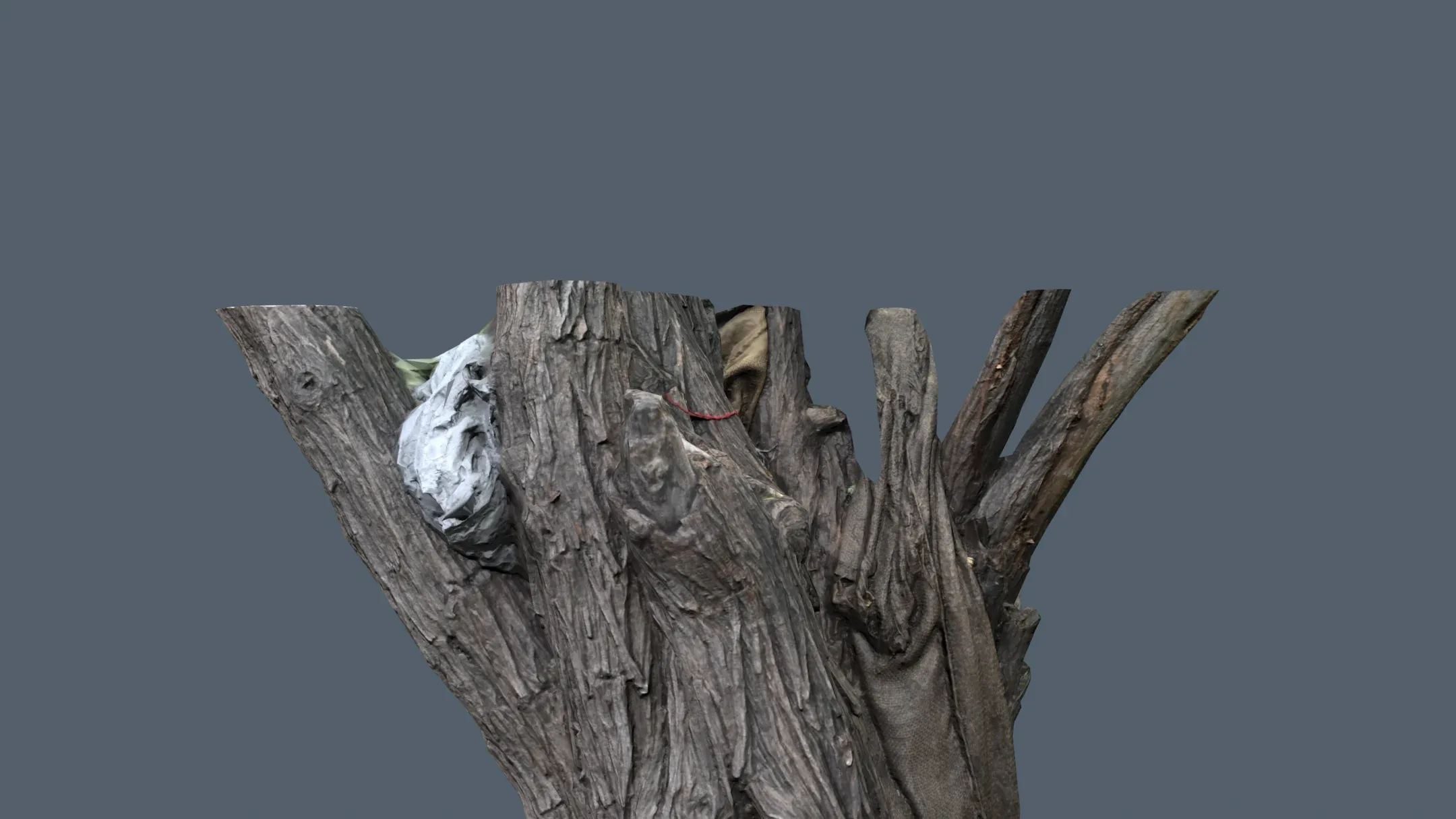 Wood Bark Low Poly