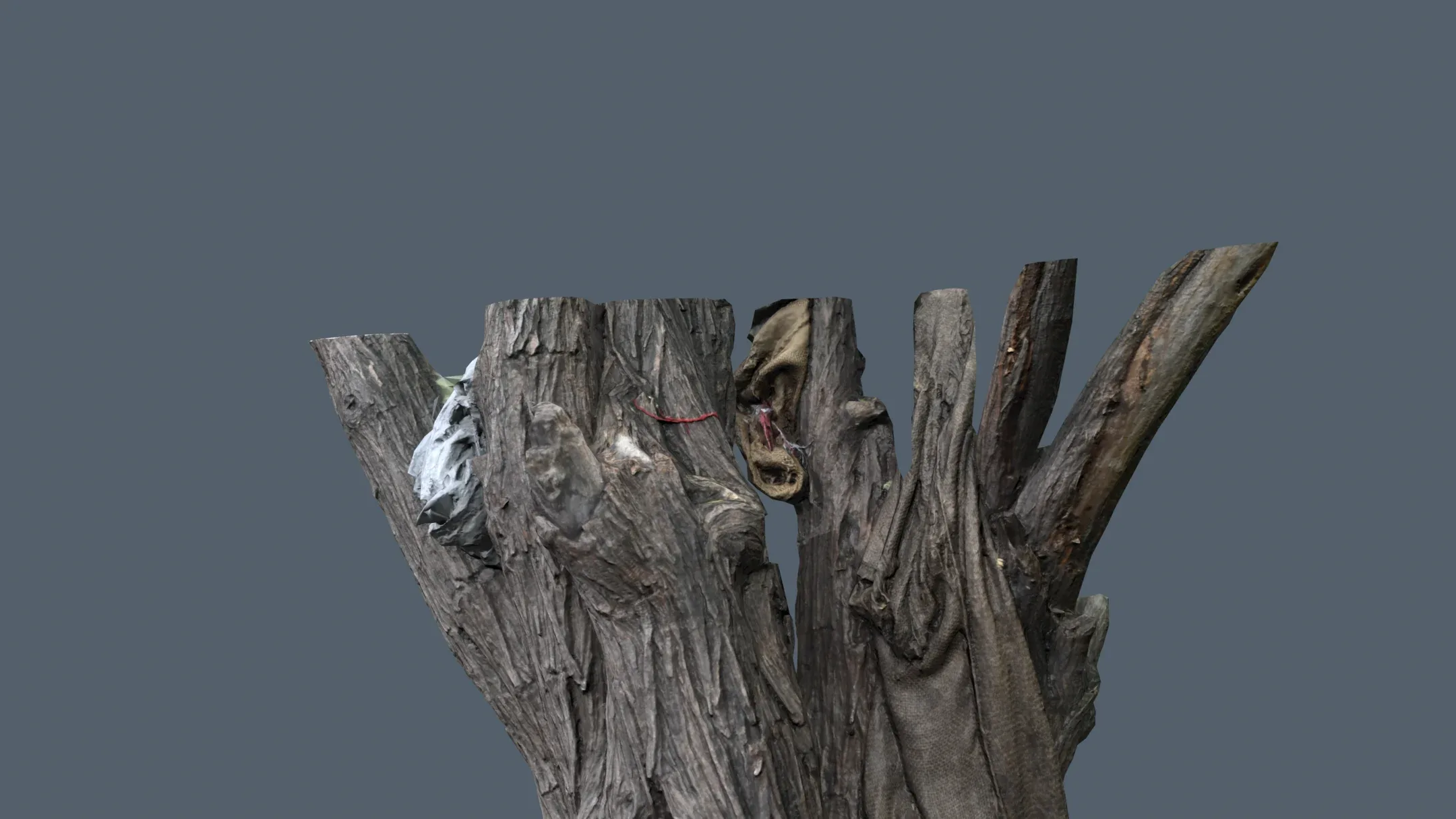 Wood Bark Low Poly